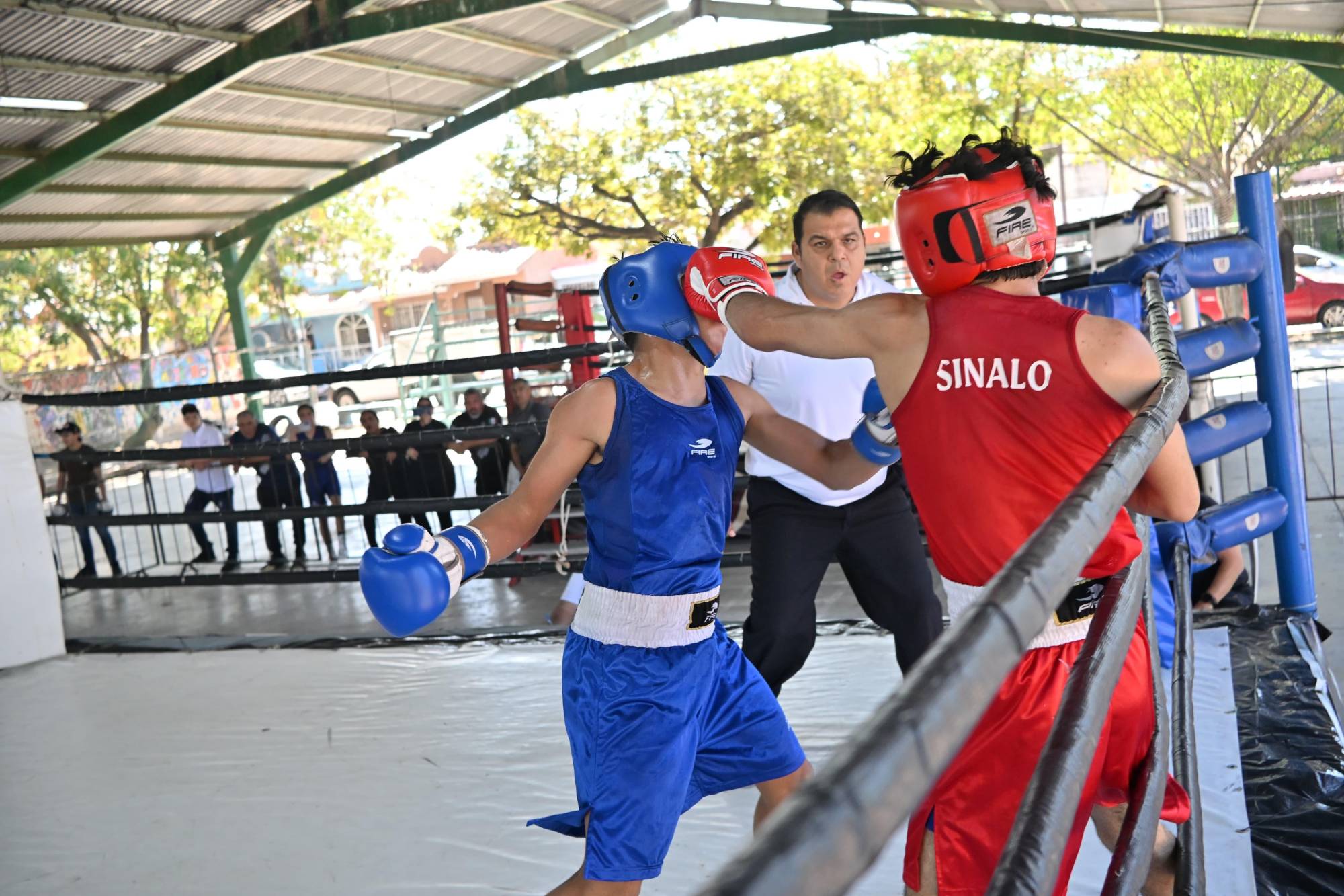 $!Se suman cinco mazatlecos a los boxeadores seleccionados para la etapa estatal de la Olimpiada Nacional Conade 2026
