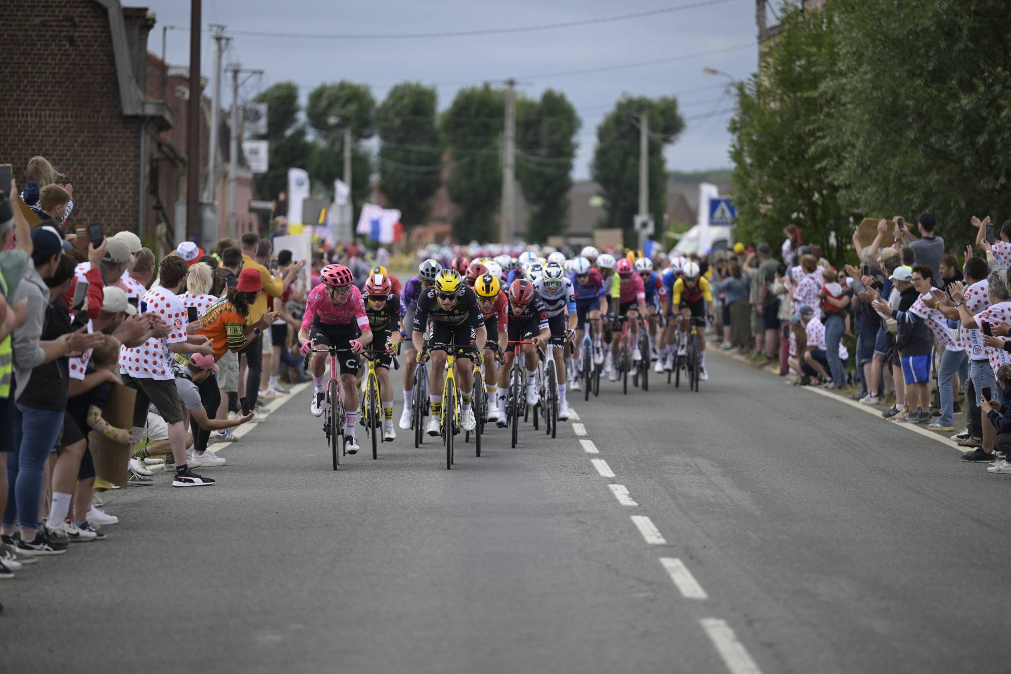 $!Jasper Philipsen se viste de amarillo tras una explosiva apertura del Tour de Francia 2025 en Lille