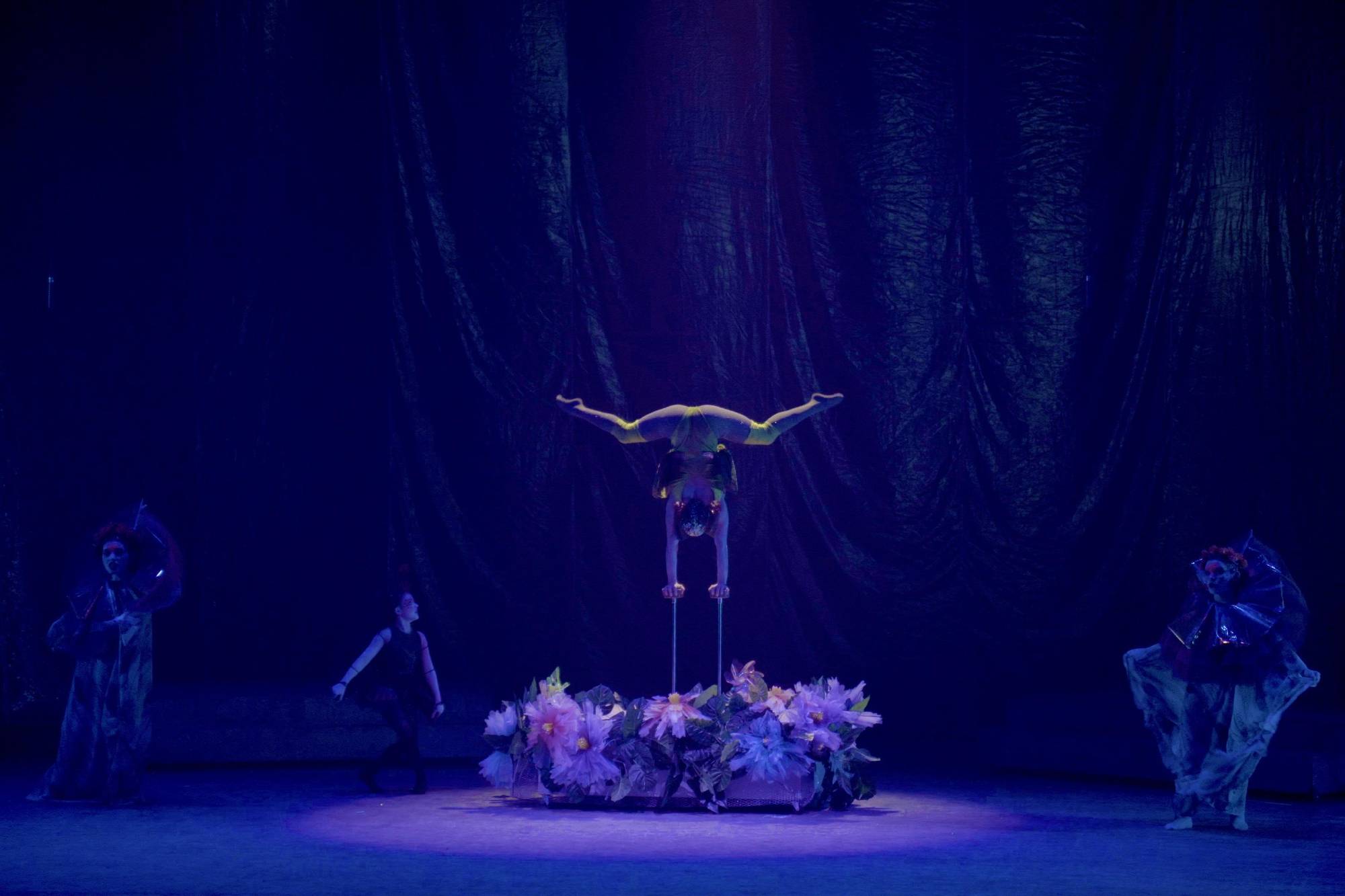 $!Integrantes de la Compañía Creaturas Anónimas forman parte del show.