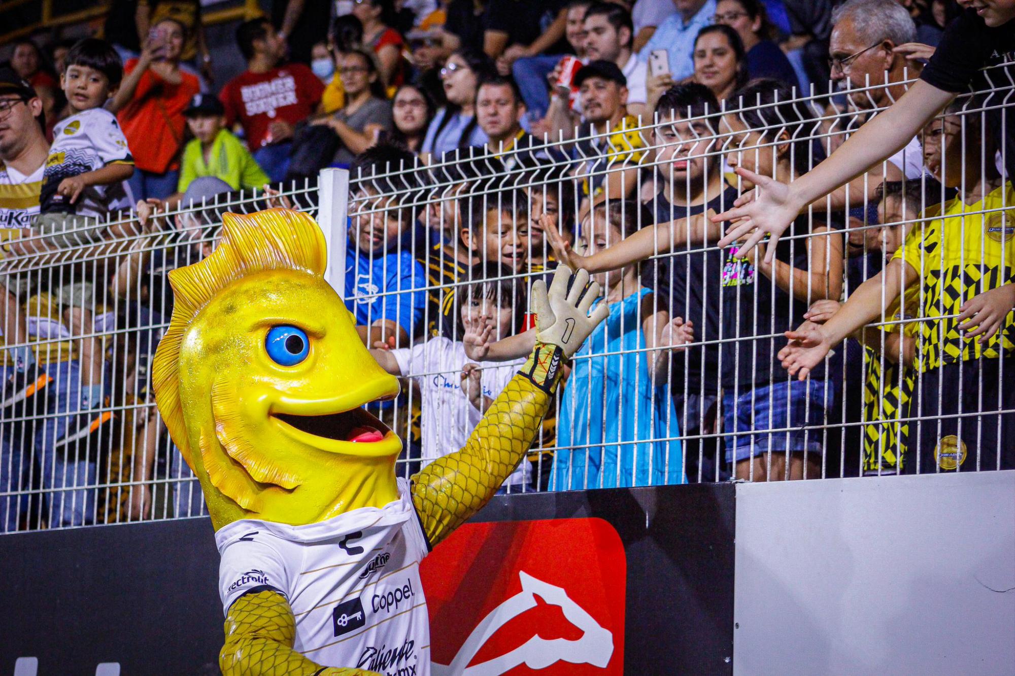 $!Dorados y Alacranes jugarán el viernes el partido de repechaje del Apertura 2022