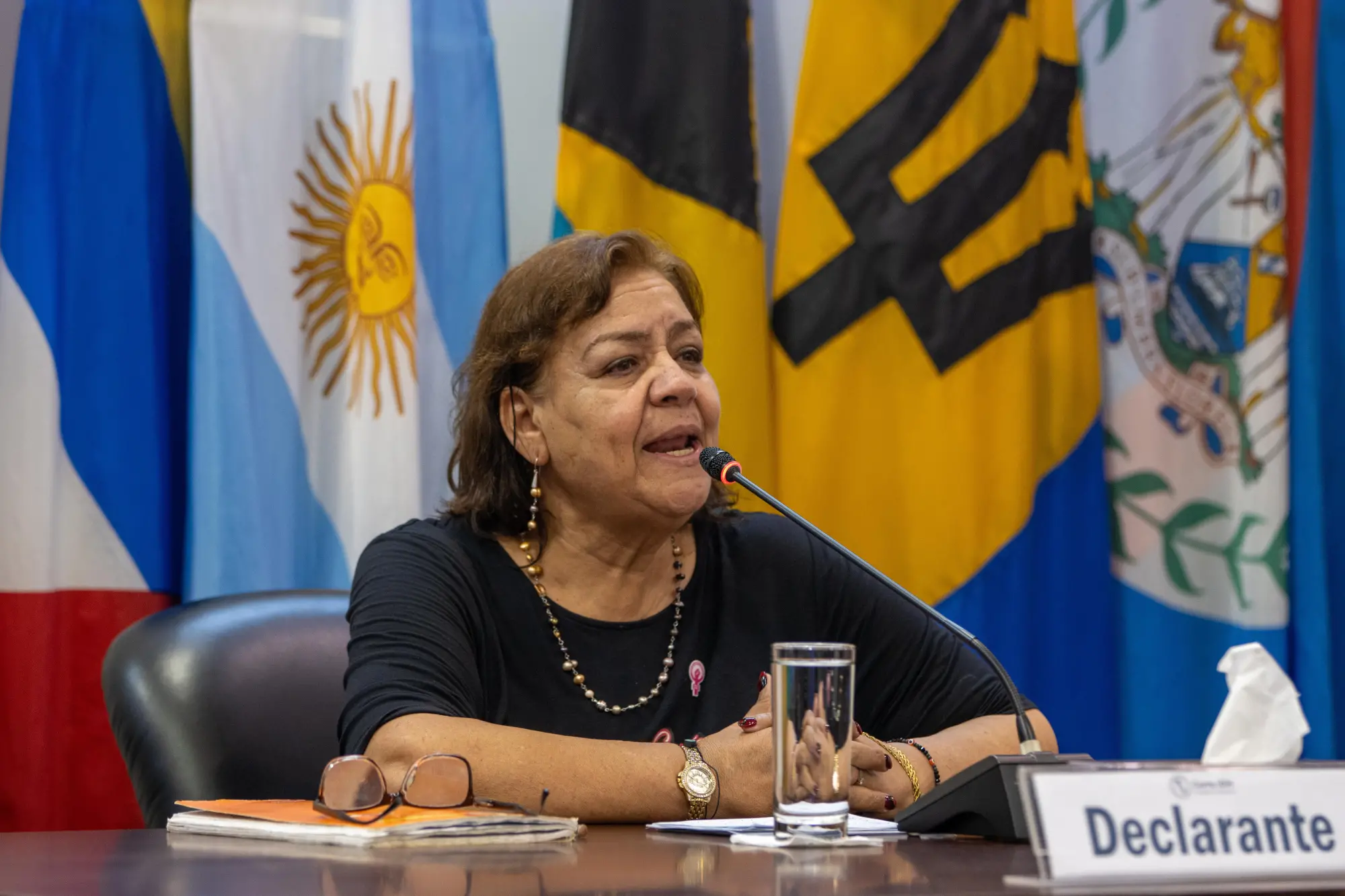 $!Norma Andrade, madre de Lilia Alejandra, en la audiencia en marzo pasado ante la CIDH.