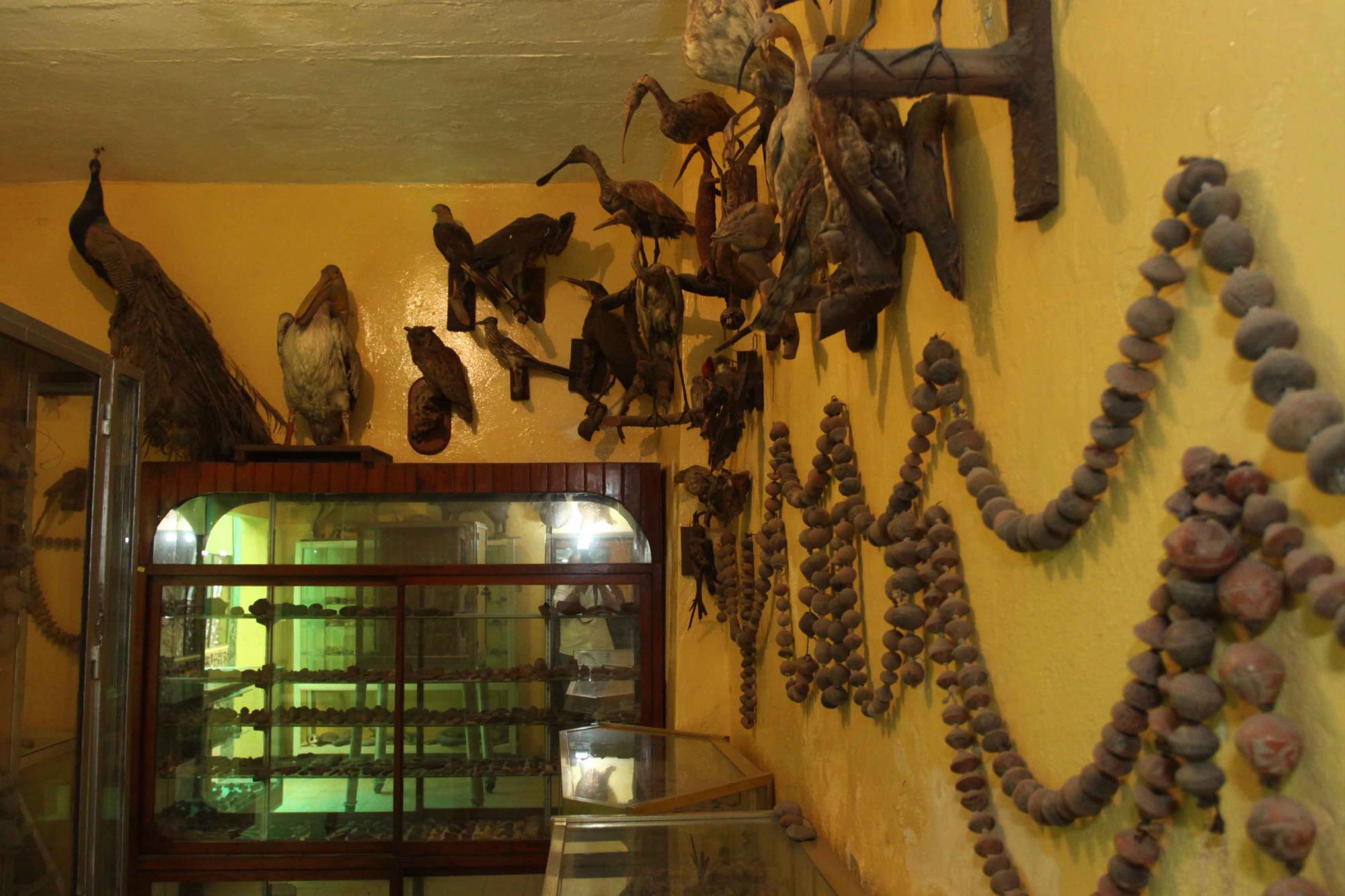 $!Museo arqueológico de Héctor Manuel Delgado Chino Billetero, en Culiacán.