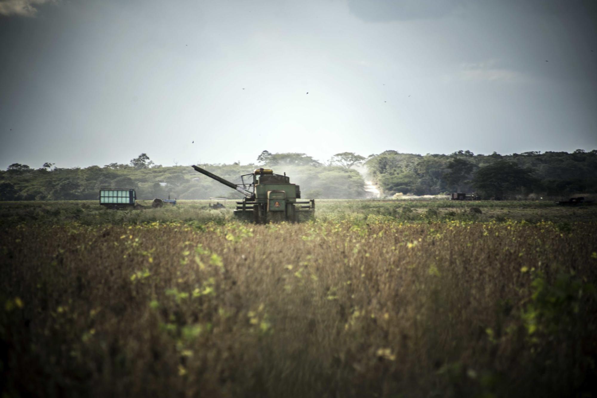 $!Campos de soya en Campeche.