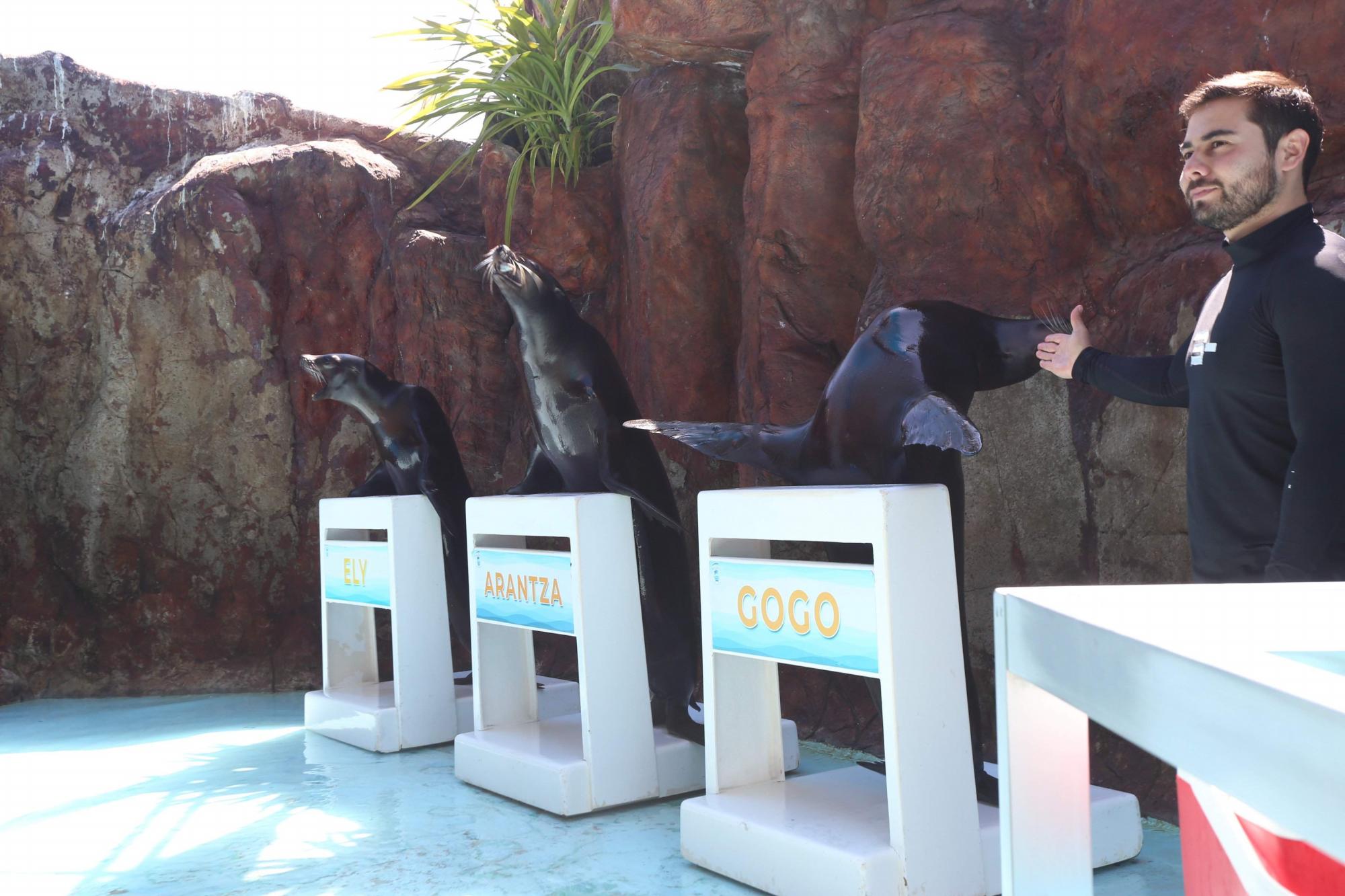$!Acuario Mazatlán alista su cierre tras 42 años siendo el sitio más visitado de Mazatlán