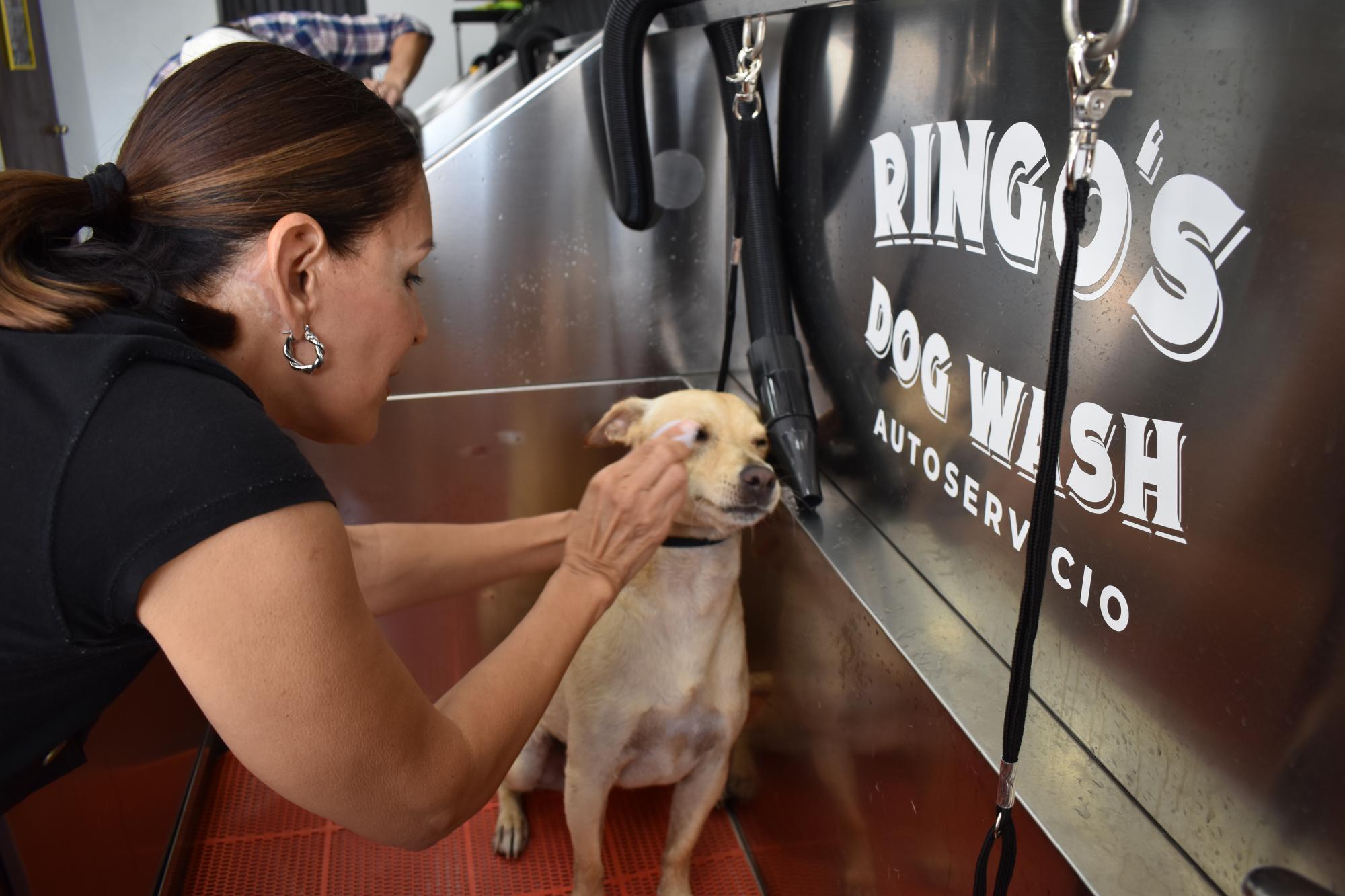 $!Ringo’s Dog Wash: el primer autoservicio de baño canino en Mazatlán