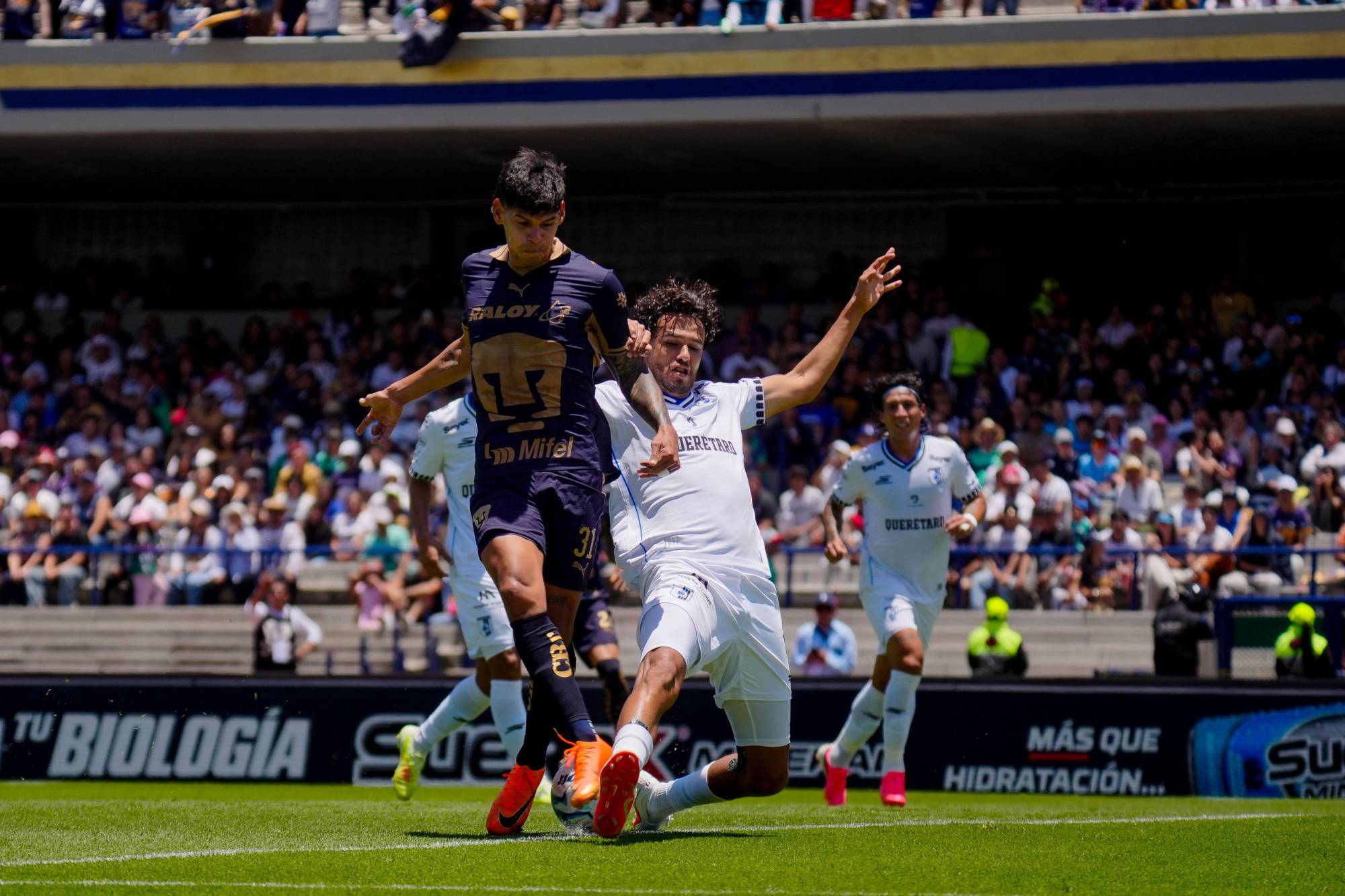 $!Pumas y Querétaro dividen puntos en CU