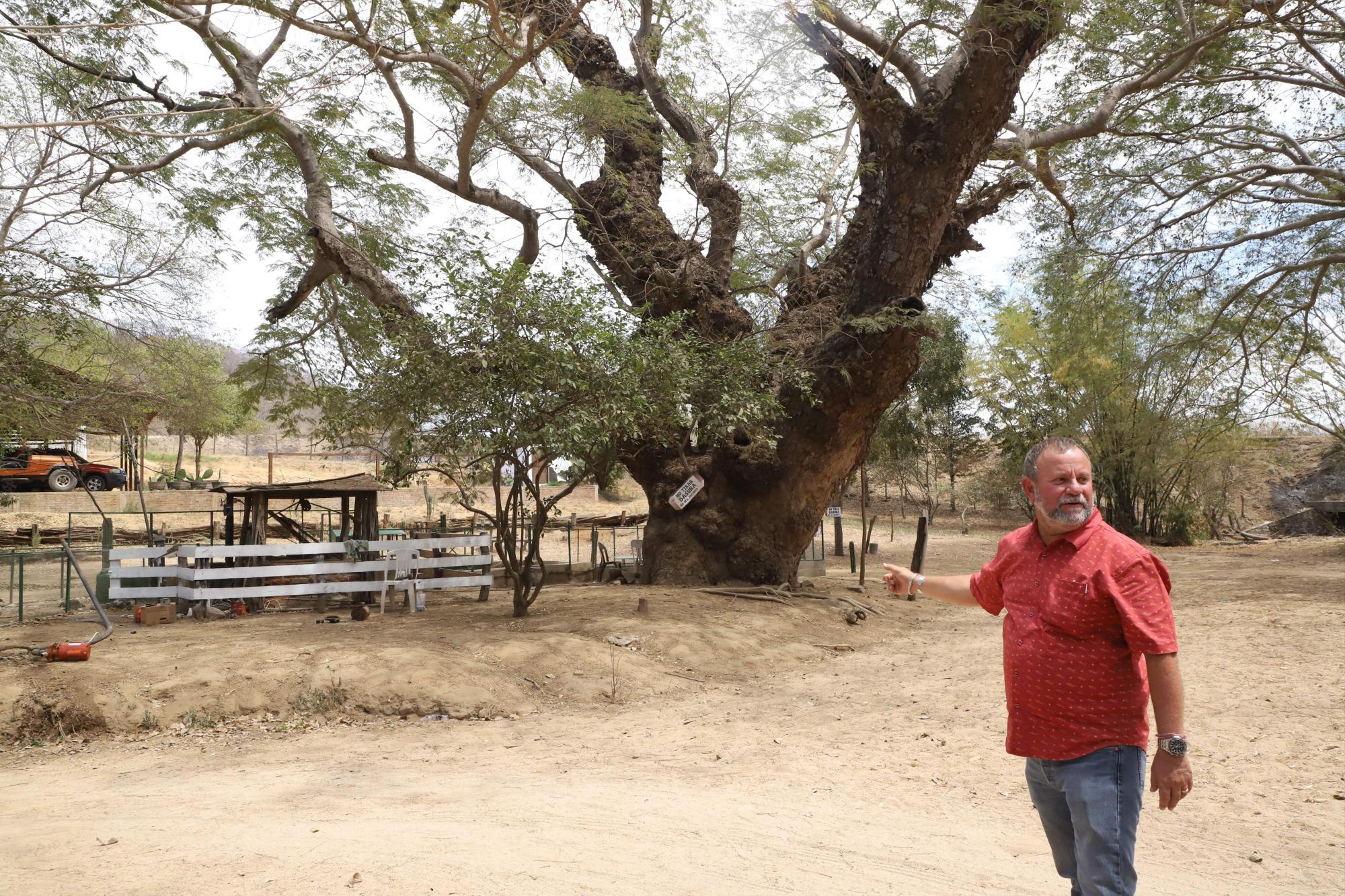 $!Lo que ‘La Vaca Lupe’ parió