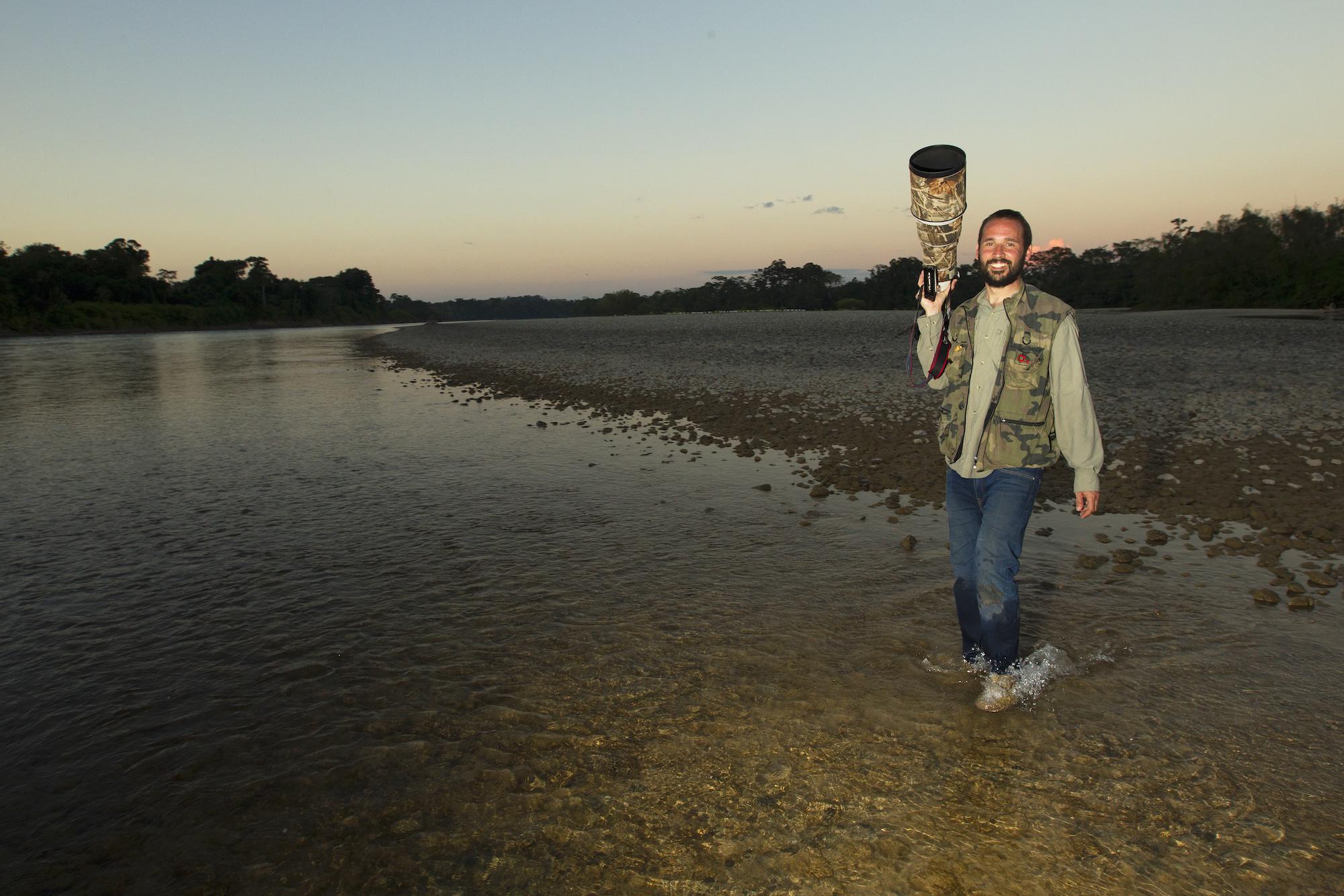 $!Águila harpía: reaparece la majestuosa ave rapaz que se creía extinta en México
