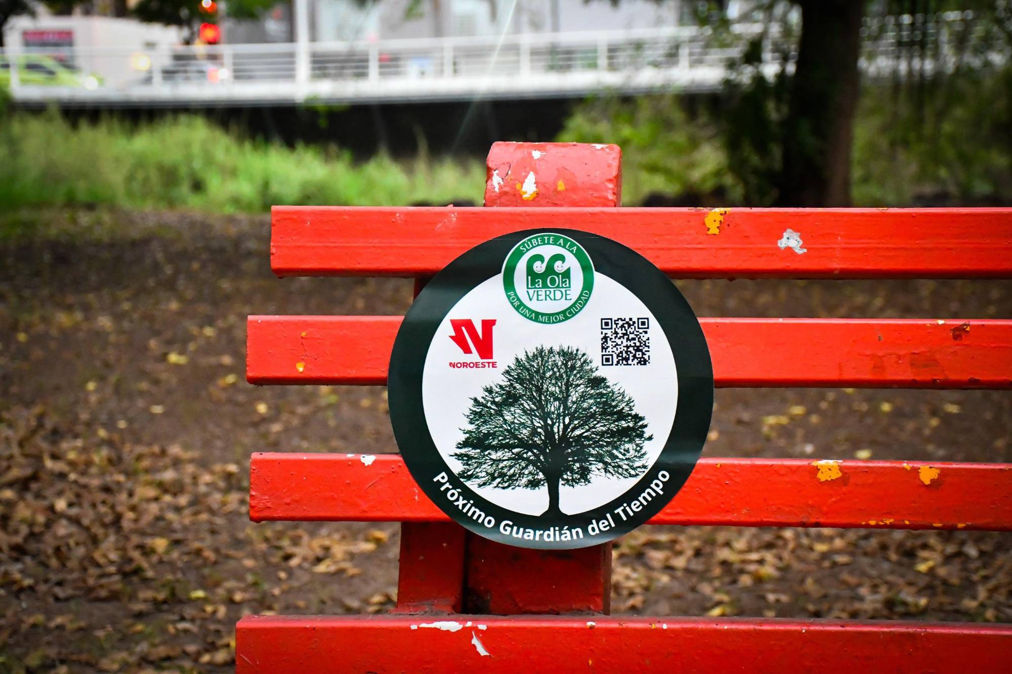 $!Los árboles centenarios: memoria viva y guardianes del tiempo de Culiacán