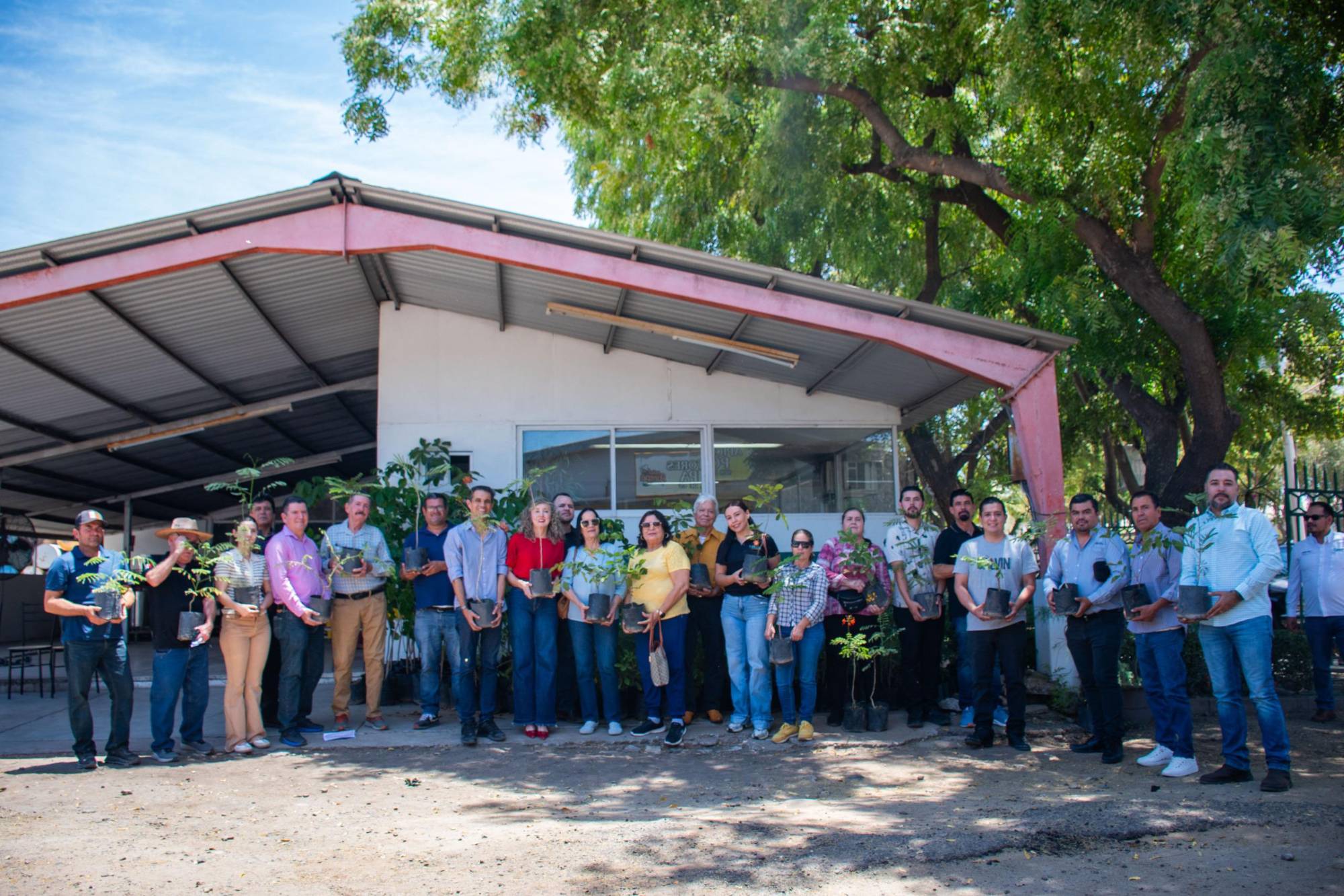 $!Culiacán impulsa la preservación de las abejas con donación de 500 árboles