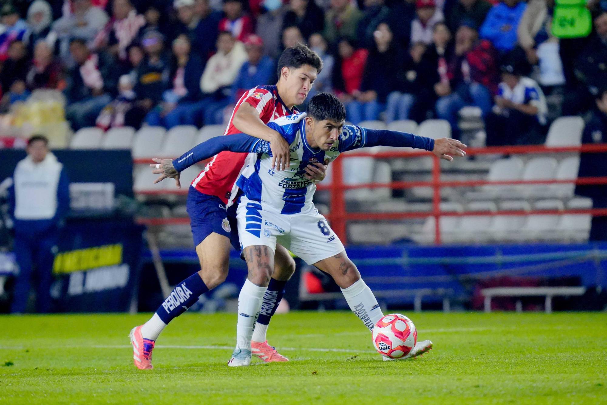 $!La Hormiga brilla... Y Chivas vence a Pachuca en el Hidalgo