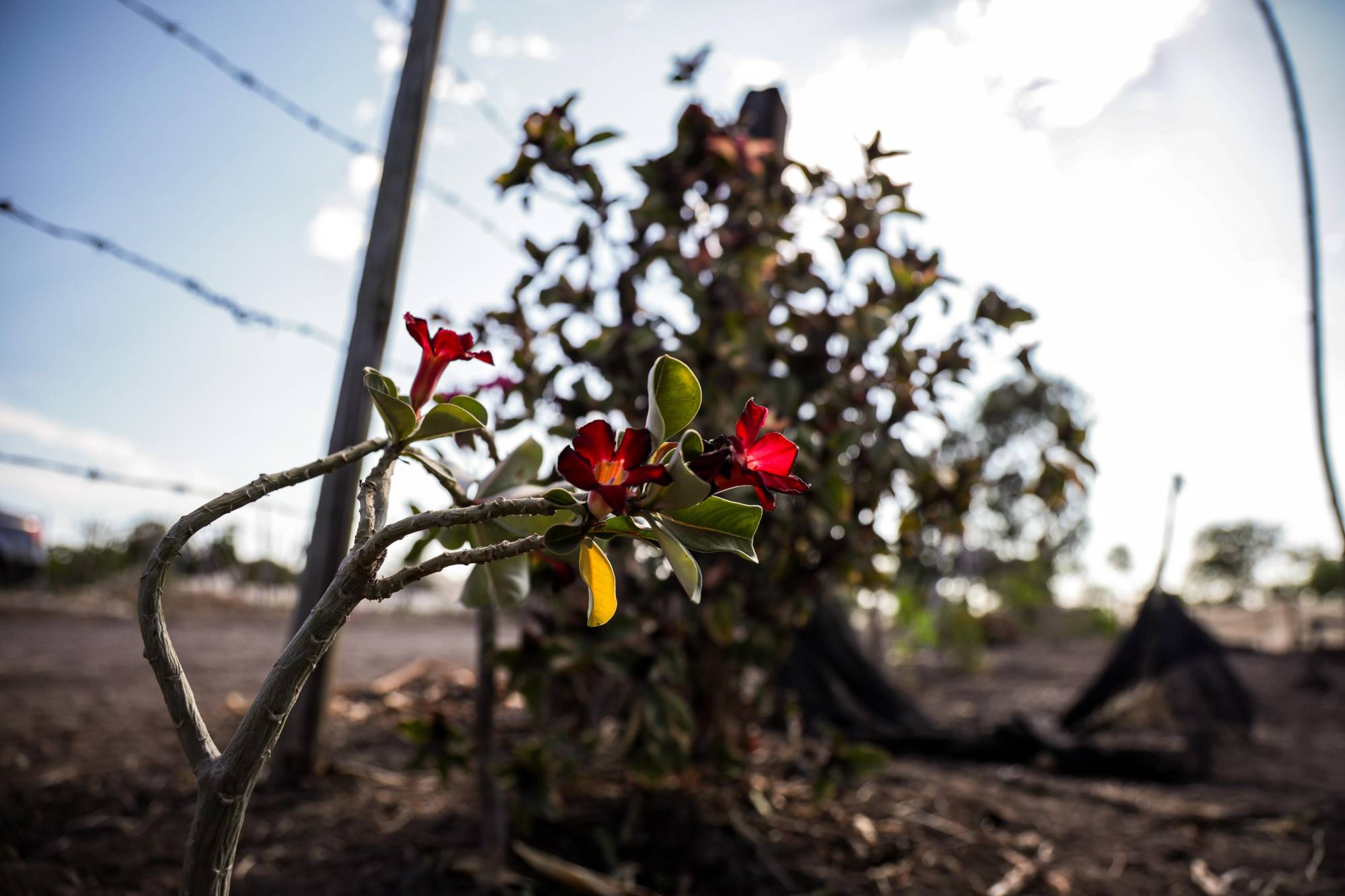 $!Desplazados de Las Víboras hallan refugio en Costa Rica; aseguran que ya no quieren volver