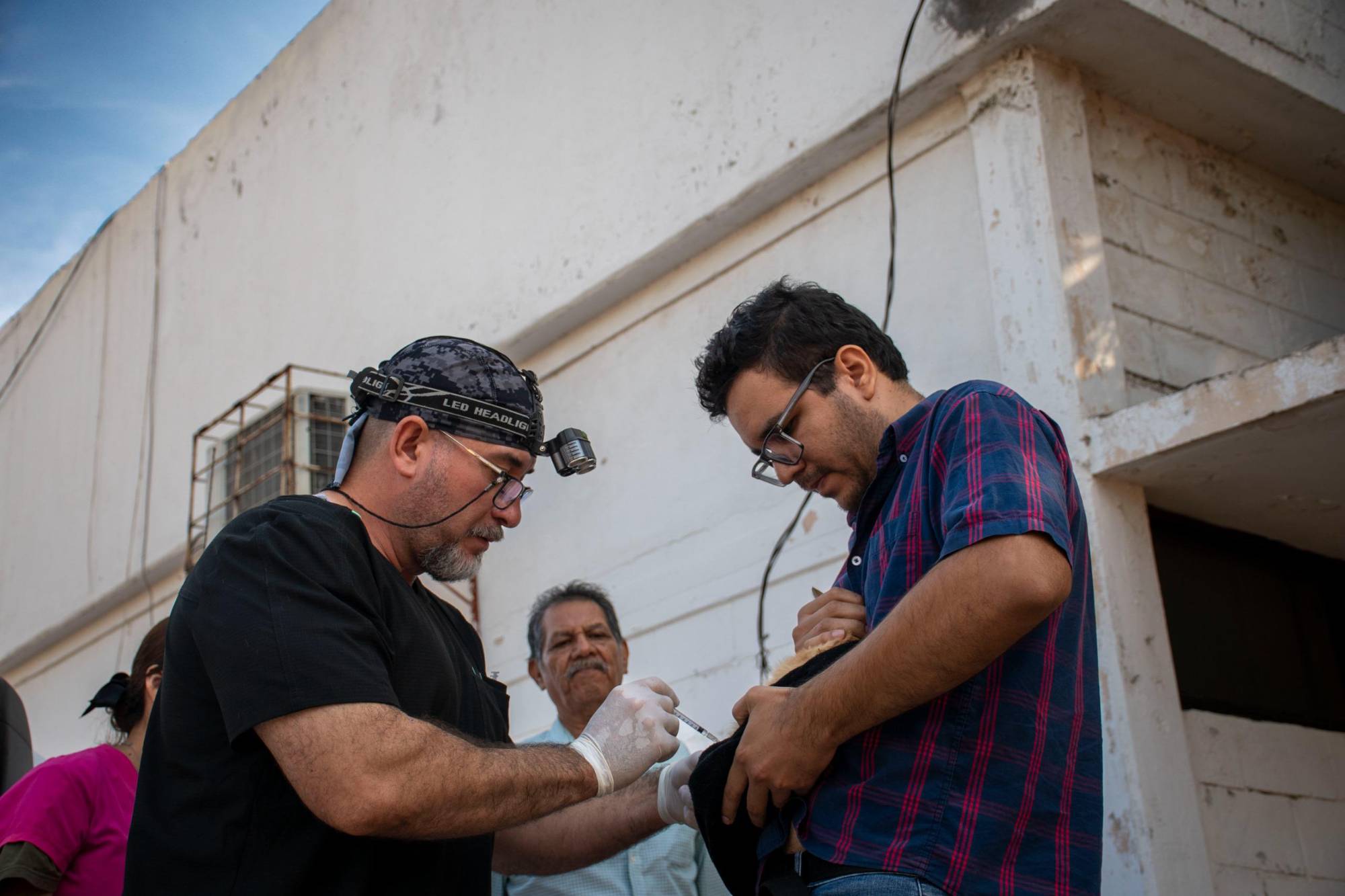 $!Mantiene DIF su campaña de esterilización de perros y gatos en instalaciones de El Vallado