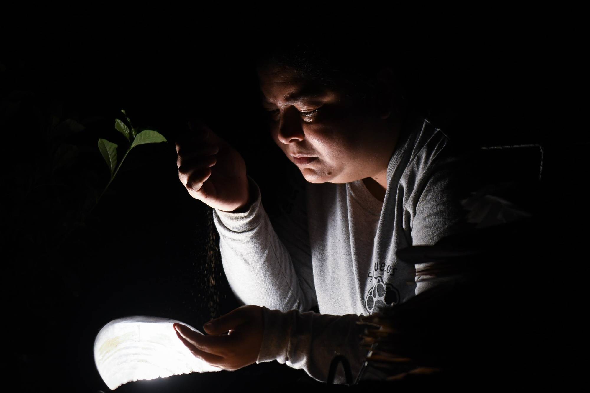 $!Integrantes de La Terca Teatro llevarán a escena esta historia.