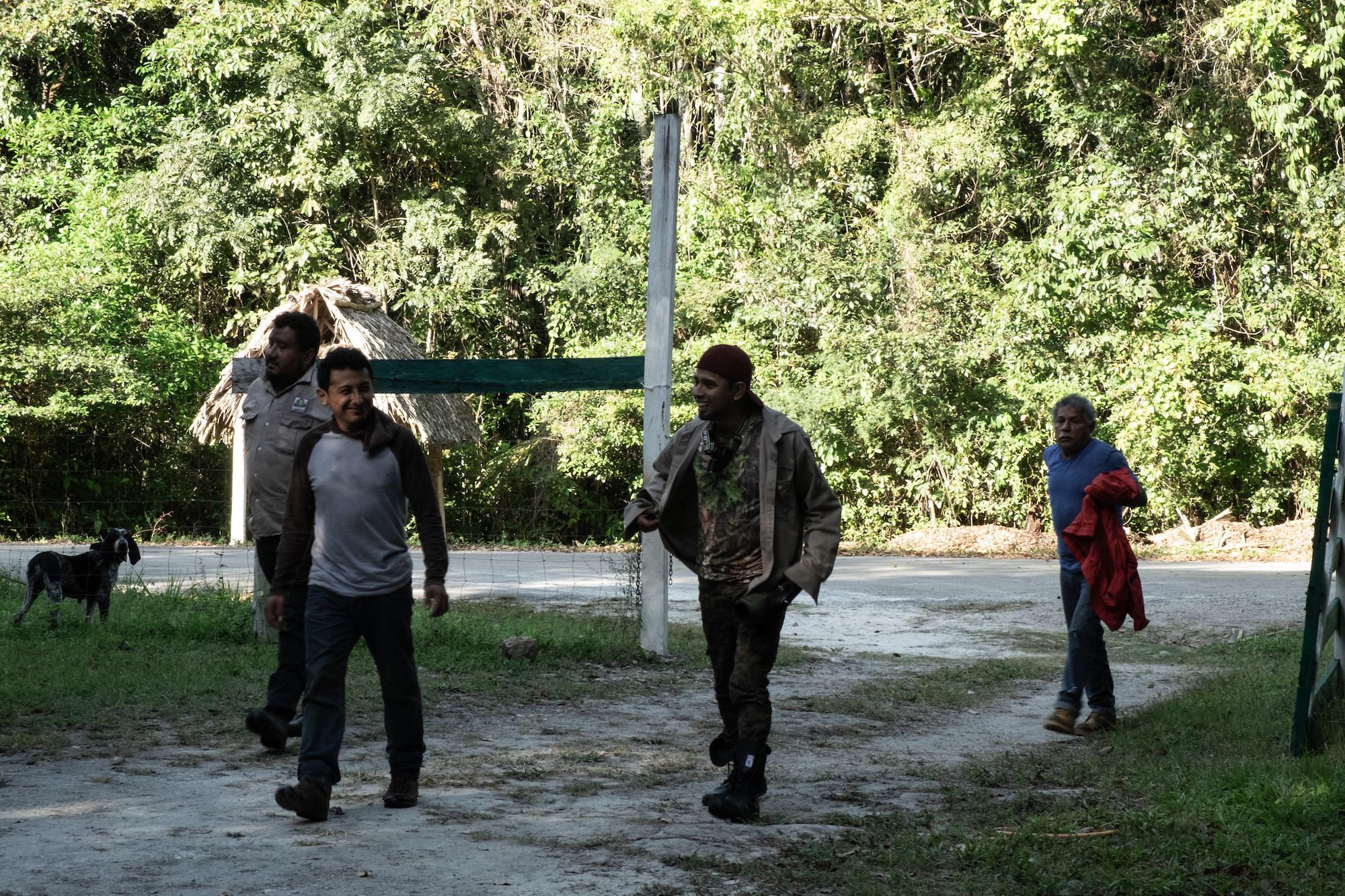 $!Con olfato y corazón: la historia del entrenador y los ‘perros tigreros’ que rastrean jaguares para protegerlos