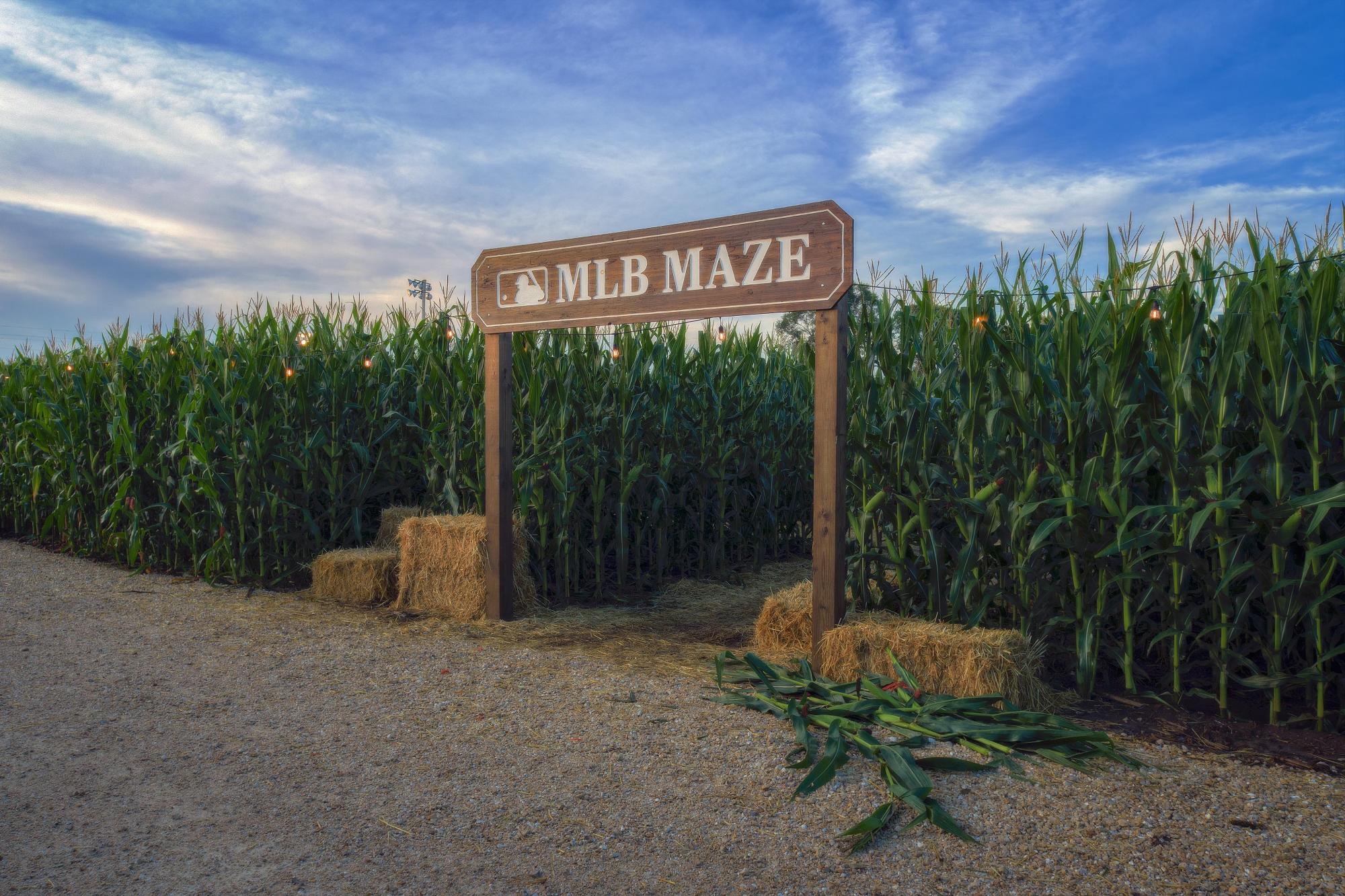 $!Campo de los Sueños: Rojos y Cachorros serán los protagonistas en el 2022