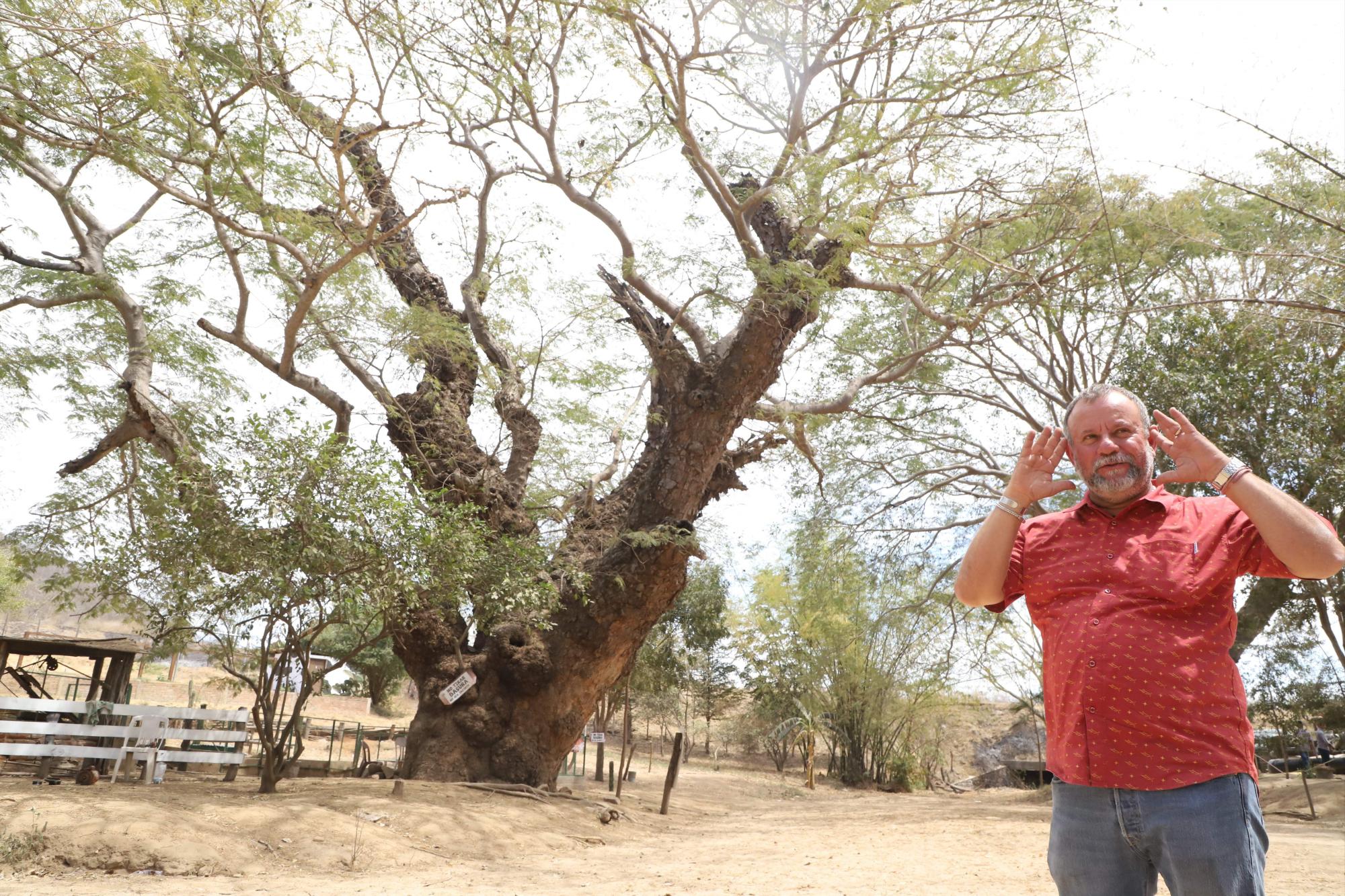 $!Lo que ‘La Vaca Lupe’ parió