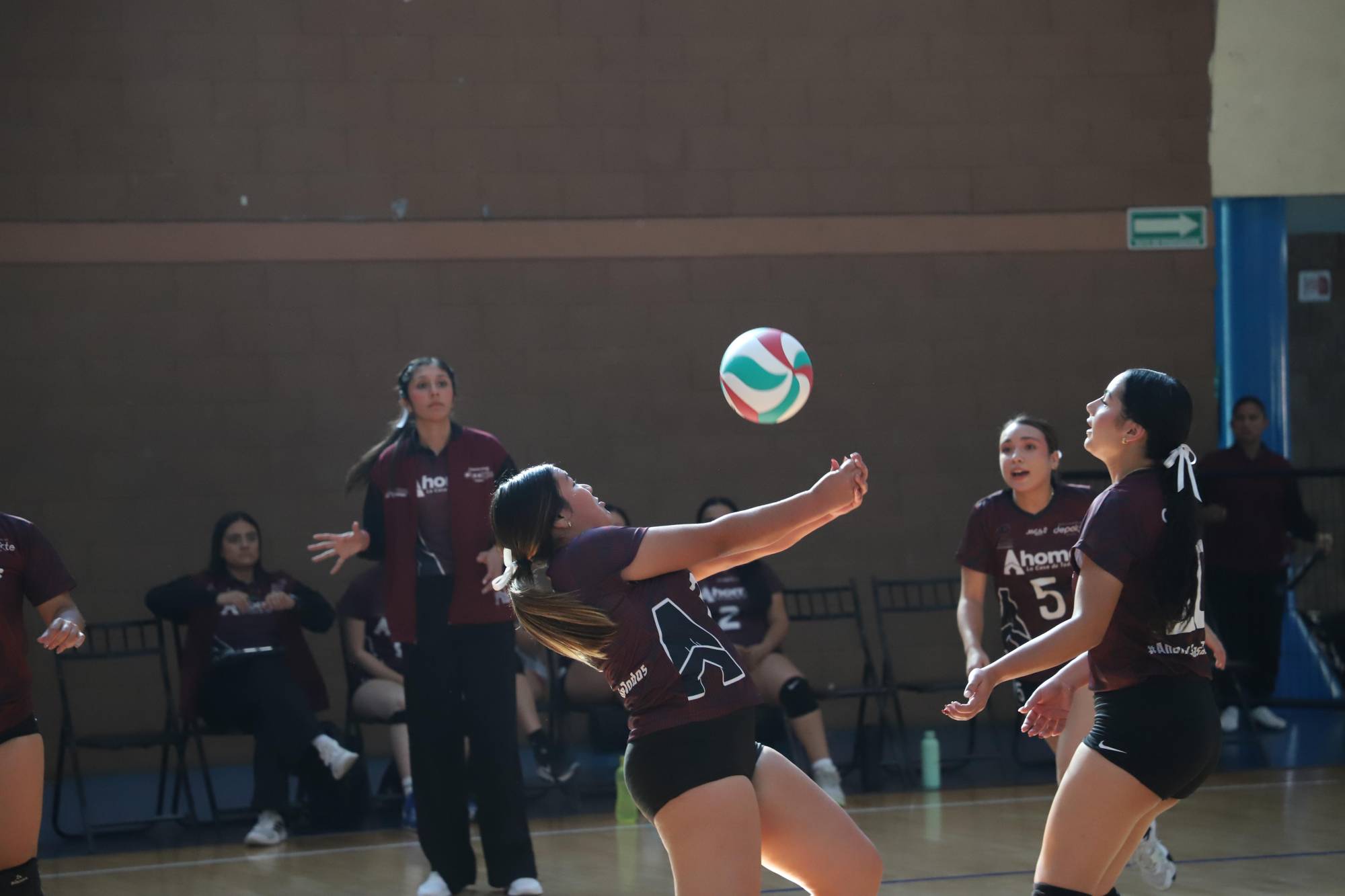 $!El Fuerte consolida su proyecto de voleibol; Guasave busca dominar las cuatro categorías en la Olimpiada Conade