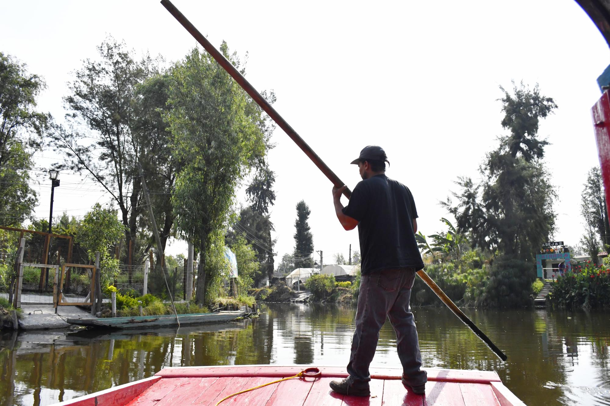 $!Abejas de Barrio, un turismo en México que acelera la seguridad alimentaria