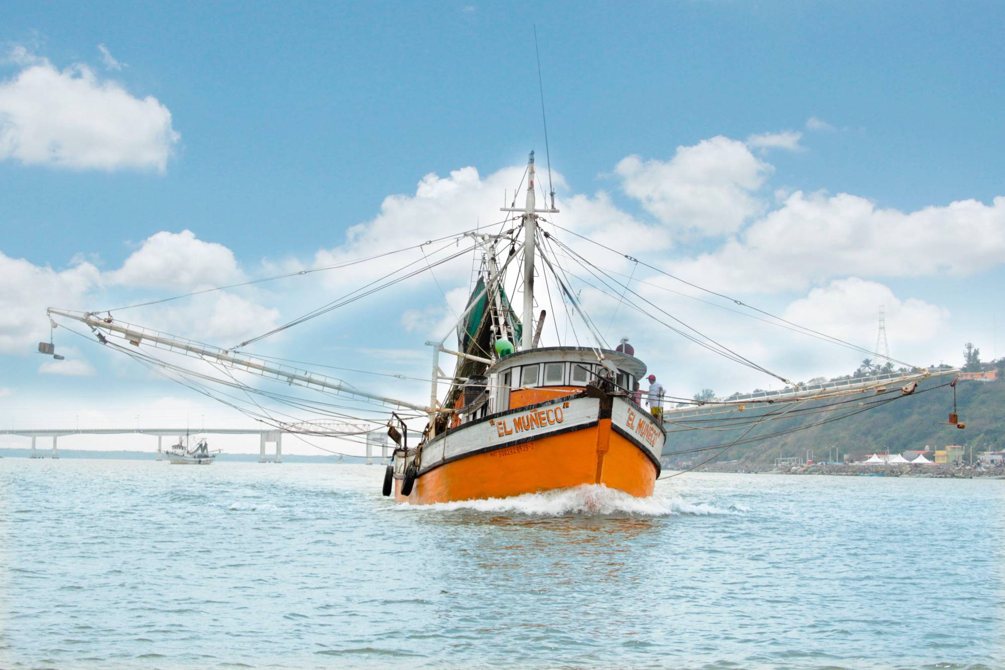 $!Inicia veda de ostión, camarón y tiburón en México