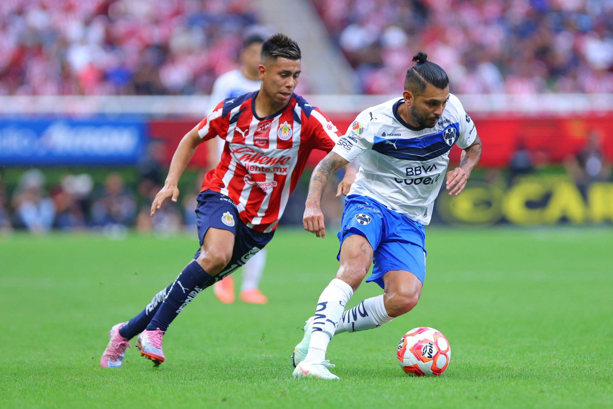 $!Chivas vence a Monterrey y consolida su lugar en la Liguilla del Apertura 2025