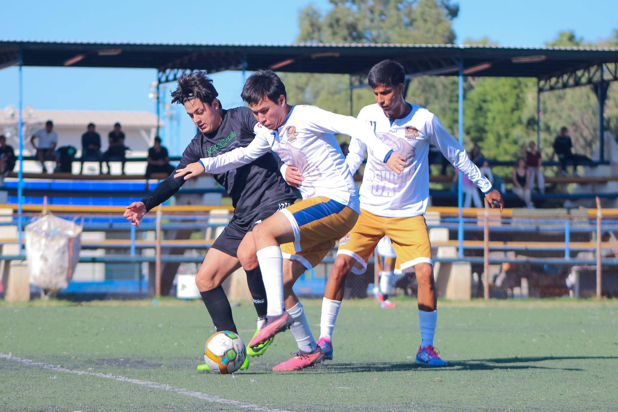 $!Águilas de la UAS avanzan con autoridad a la final universitaria