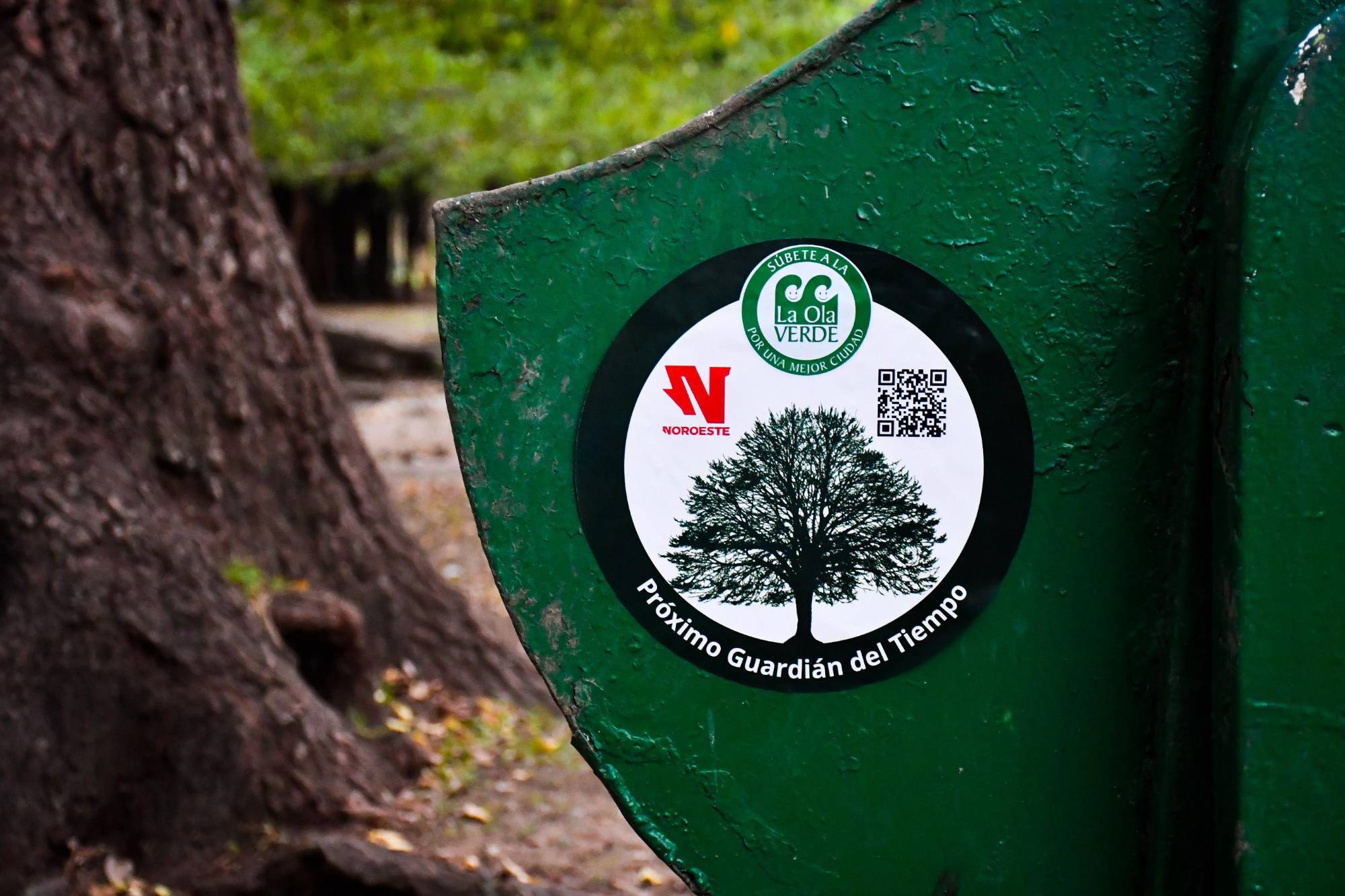 $!Los árboles centenarios: memoria viva y guardianes del tiempo de Culiacán