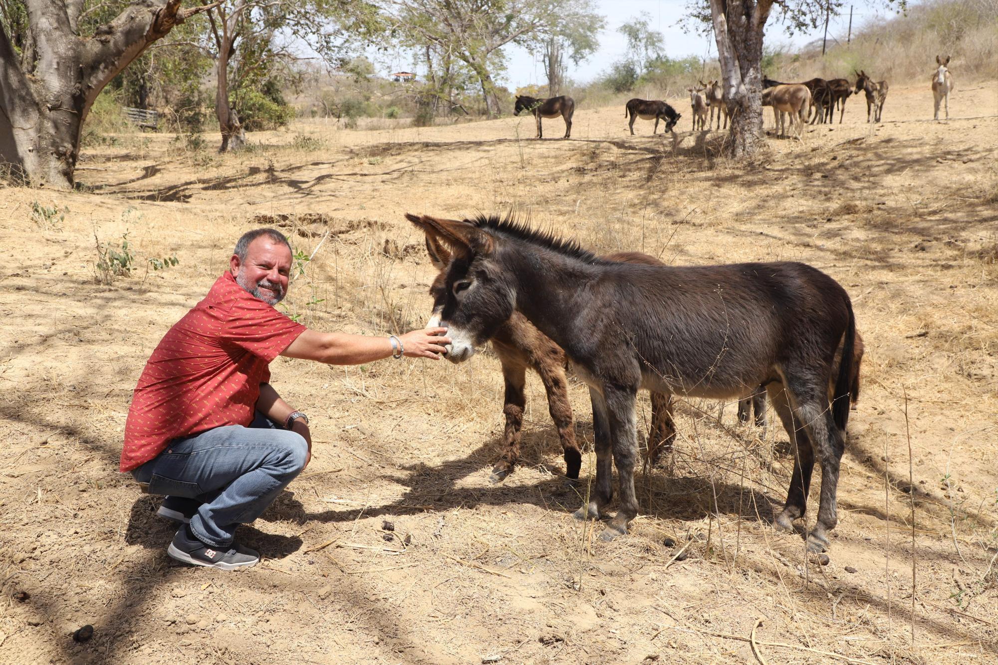 $!Lo que ‘La Vaca Lupe’ parió