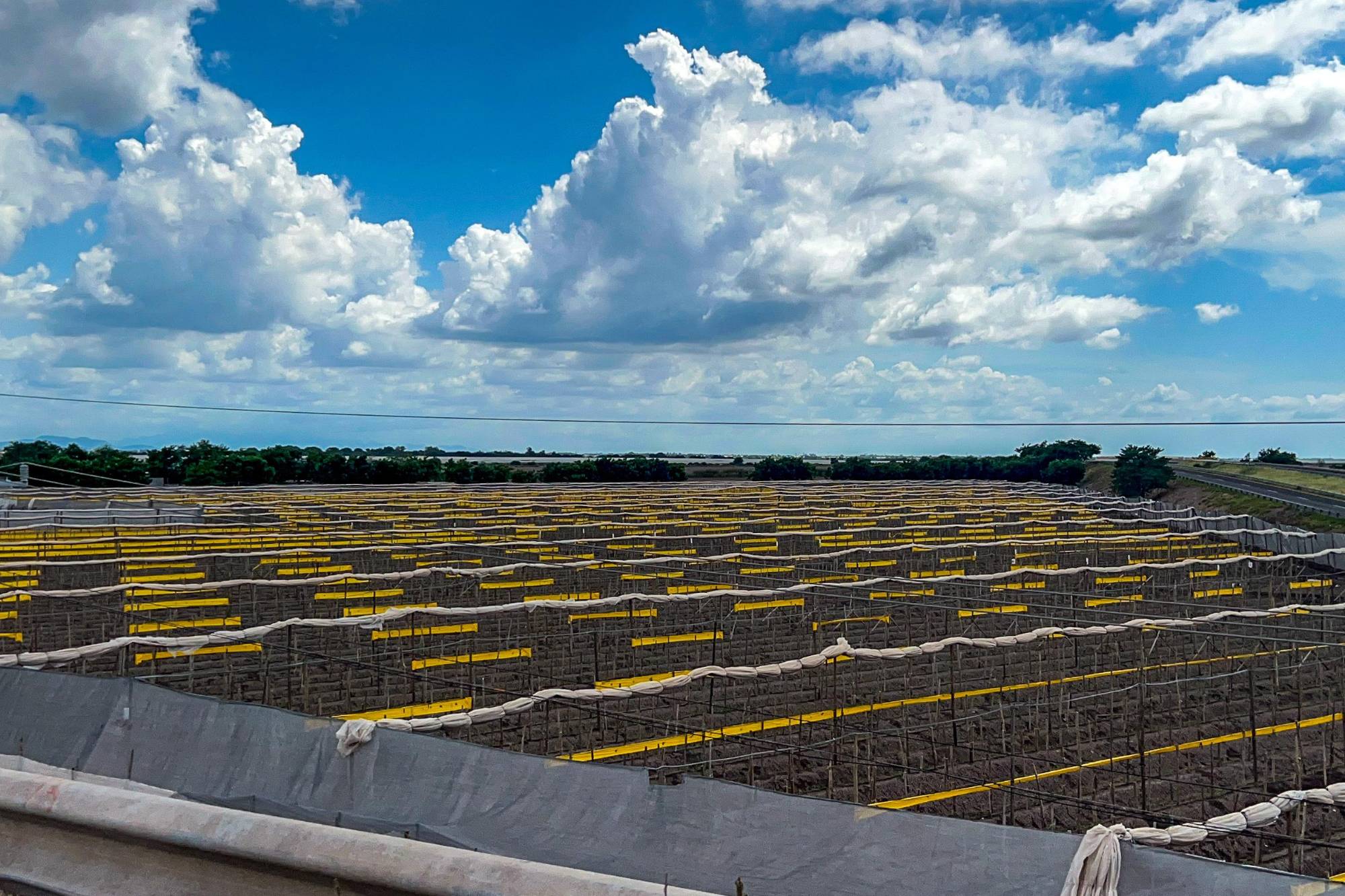 $!Villa Juárez, en Navolato, es uno de los epicentros de la agricultura sinaloense, y se ha visto asolado por hechos violentos.