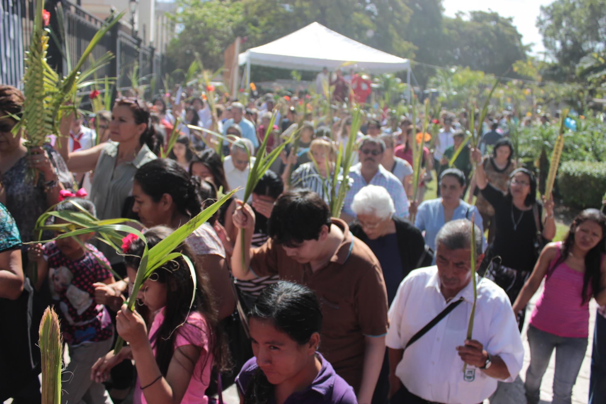$!domingo de ramos bendicion de las plamas