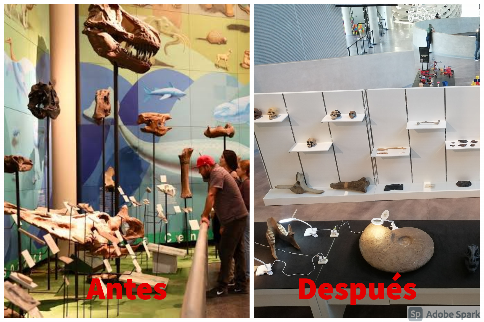 $!FOTOS: ¿Recuerdas cómo era el Centro de Ciencias?, esto es lo que se perdió con su remodelación