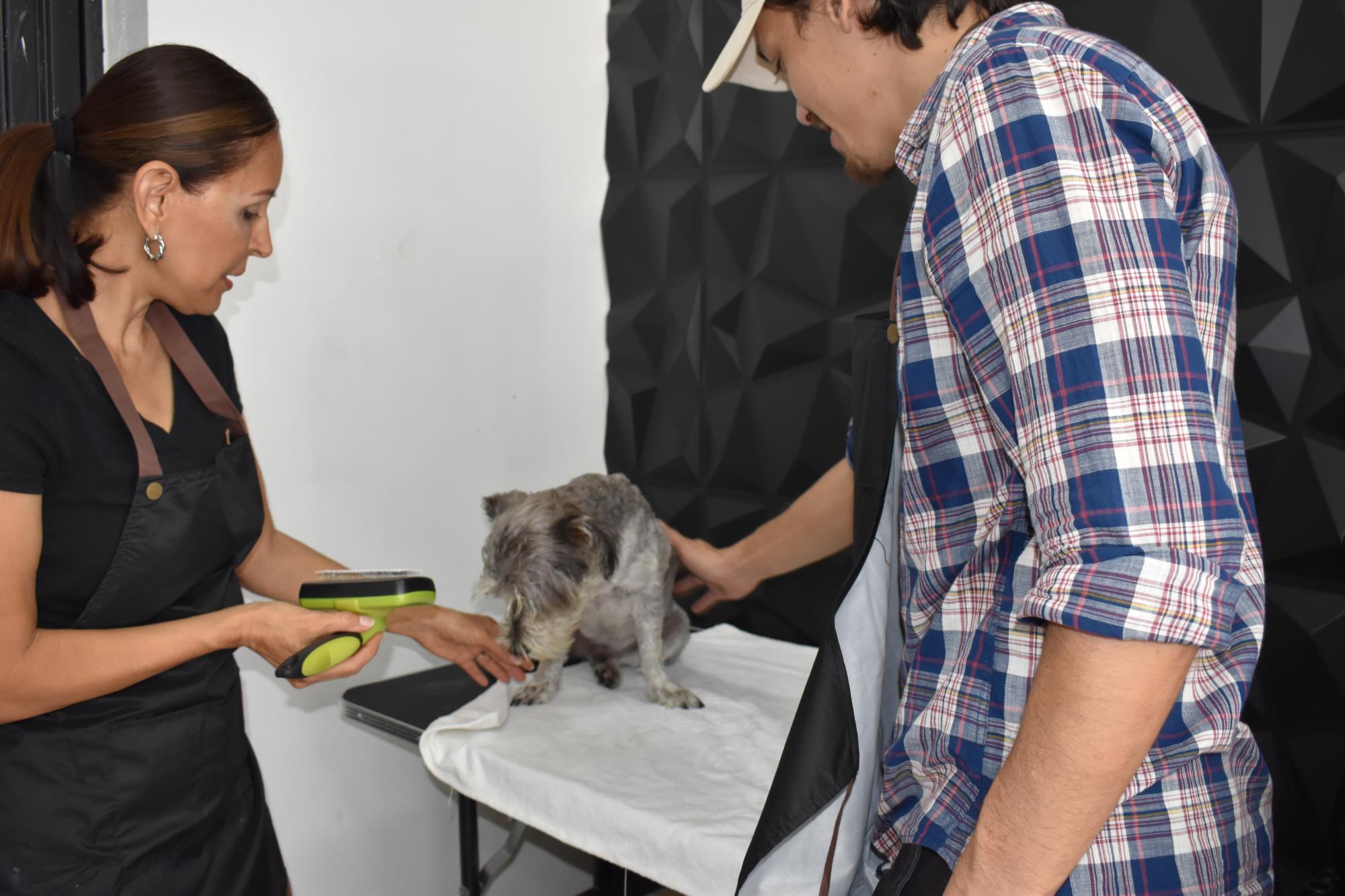 $!Ringo’s Dog Wash: el primer autoservicio de baño canino en Mazatlán