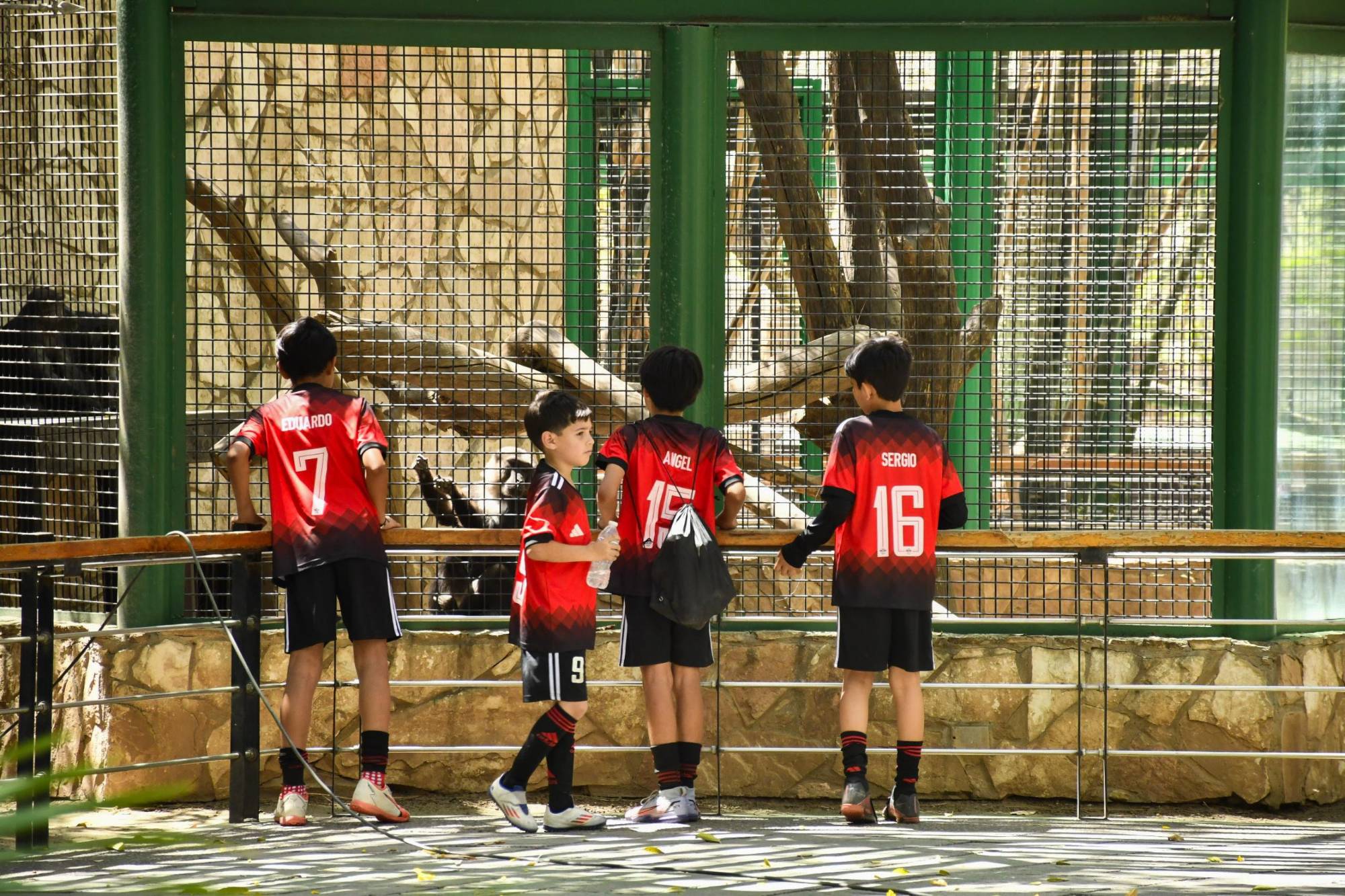 $!Familias visitan el Zoológico de Culiacán por Semana Santa, pero critican condiciones de los animales