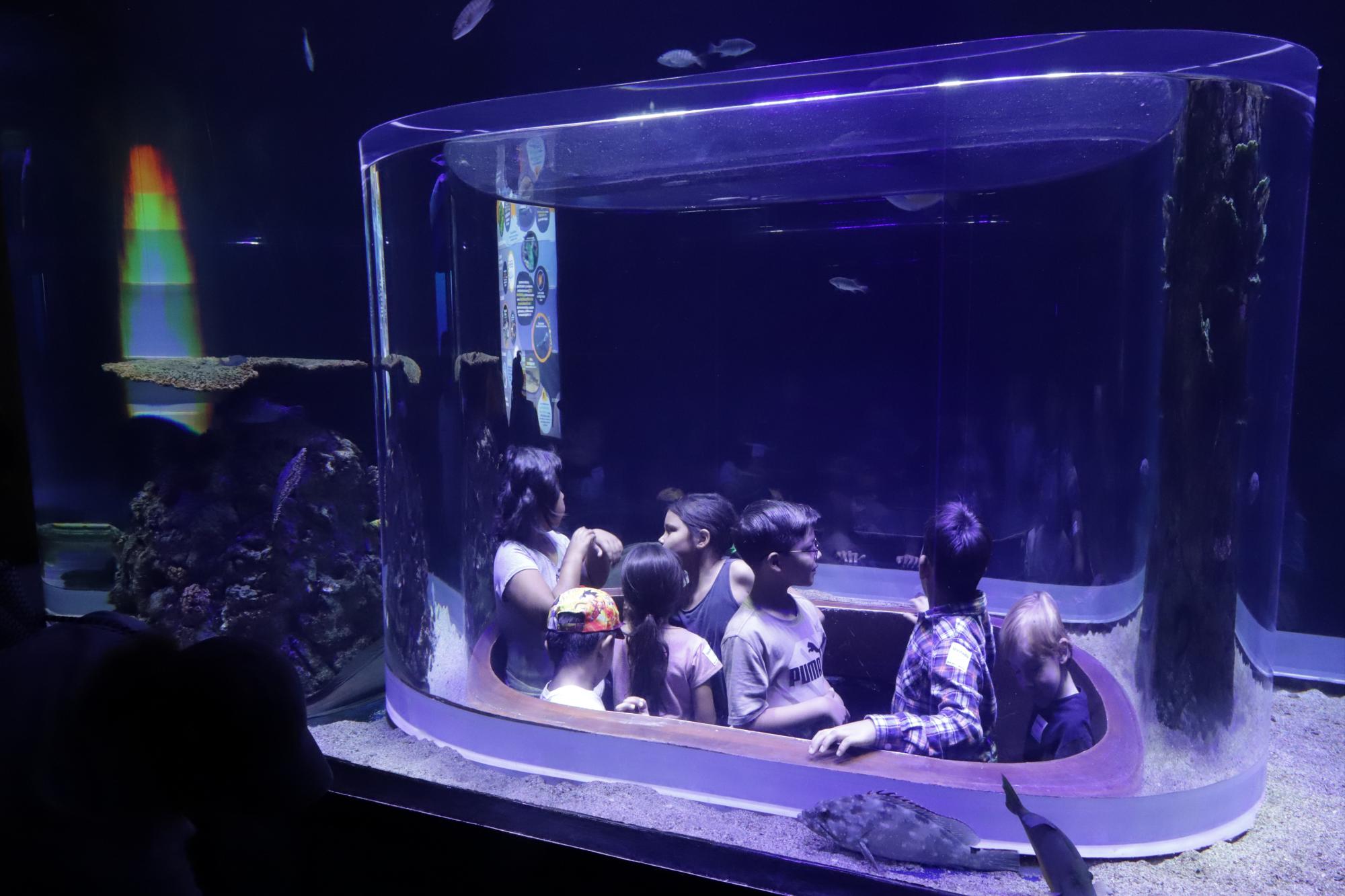 $!Los pequeños disfrutaron de las actividades interactivas que se realizan en el Gran Acuario Mazatlán.