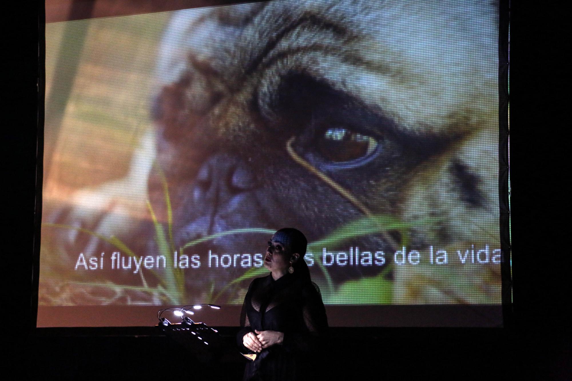 $!Presentan 6 proyectos musicales en la Muestra PECDAS 2022