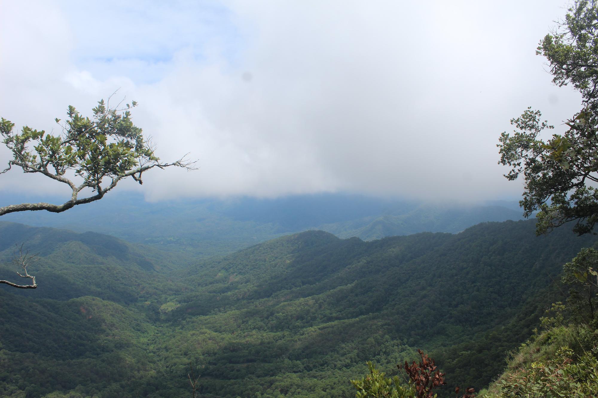 $!La sierra de Guerrero cuenta con paisajes escarpados y heterogéneos que favorecen la presencia de una gran riqueza de especies.