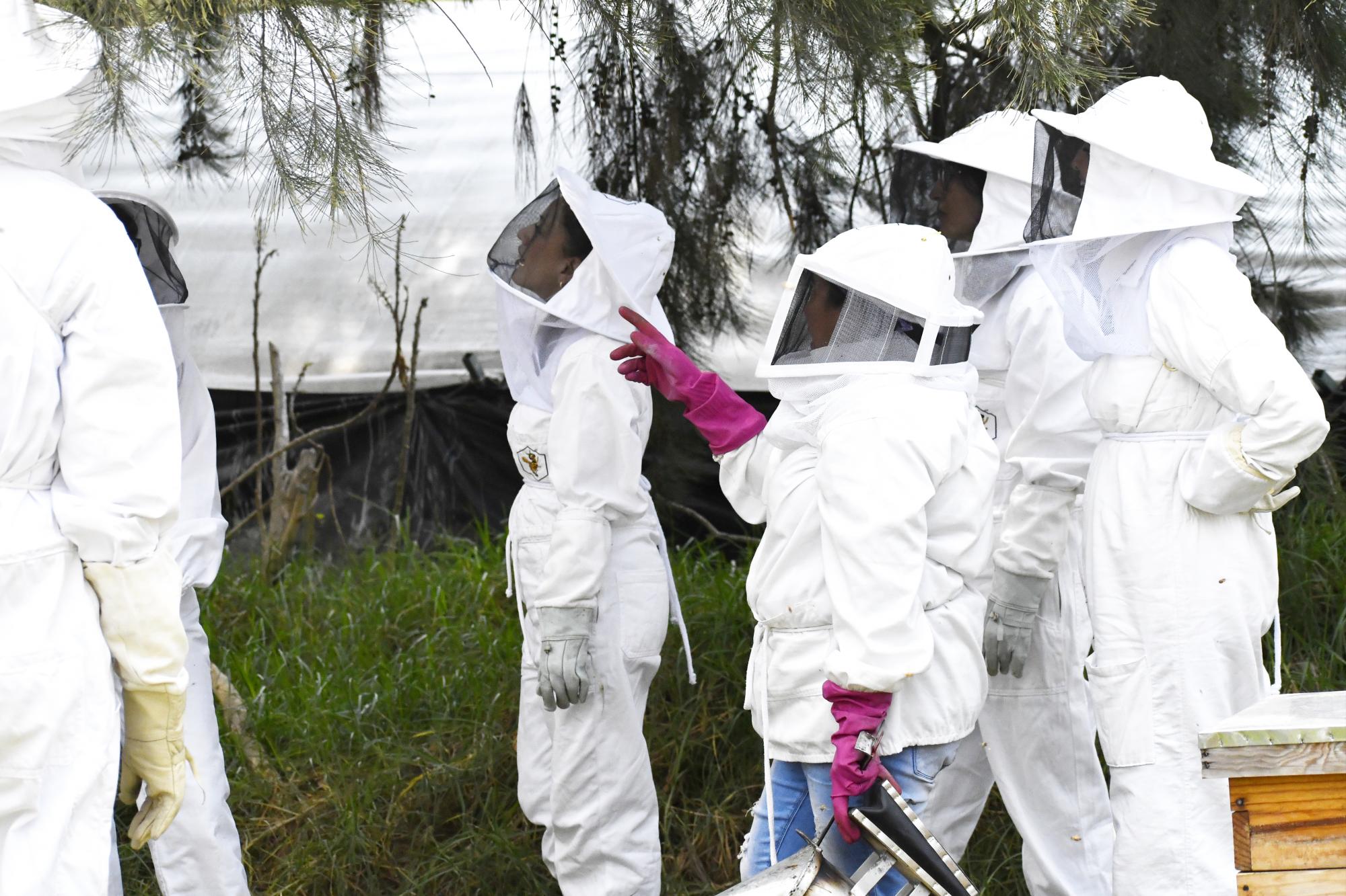 $!Abejas de Barrio, un turismo en México que acelera la seguridad alimentaria