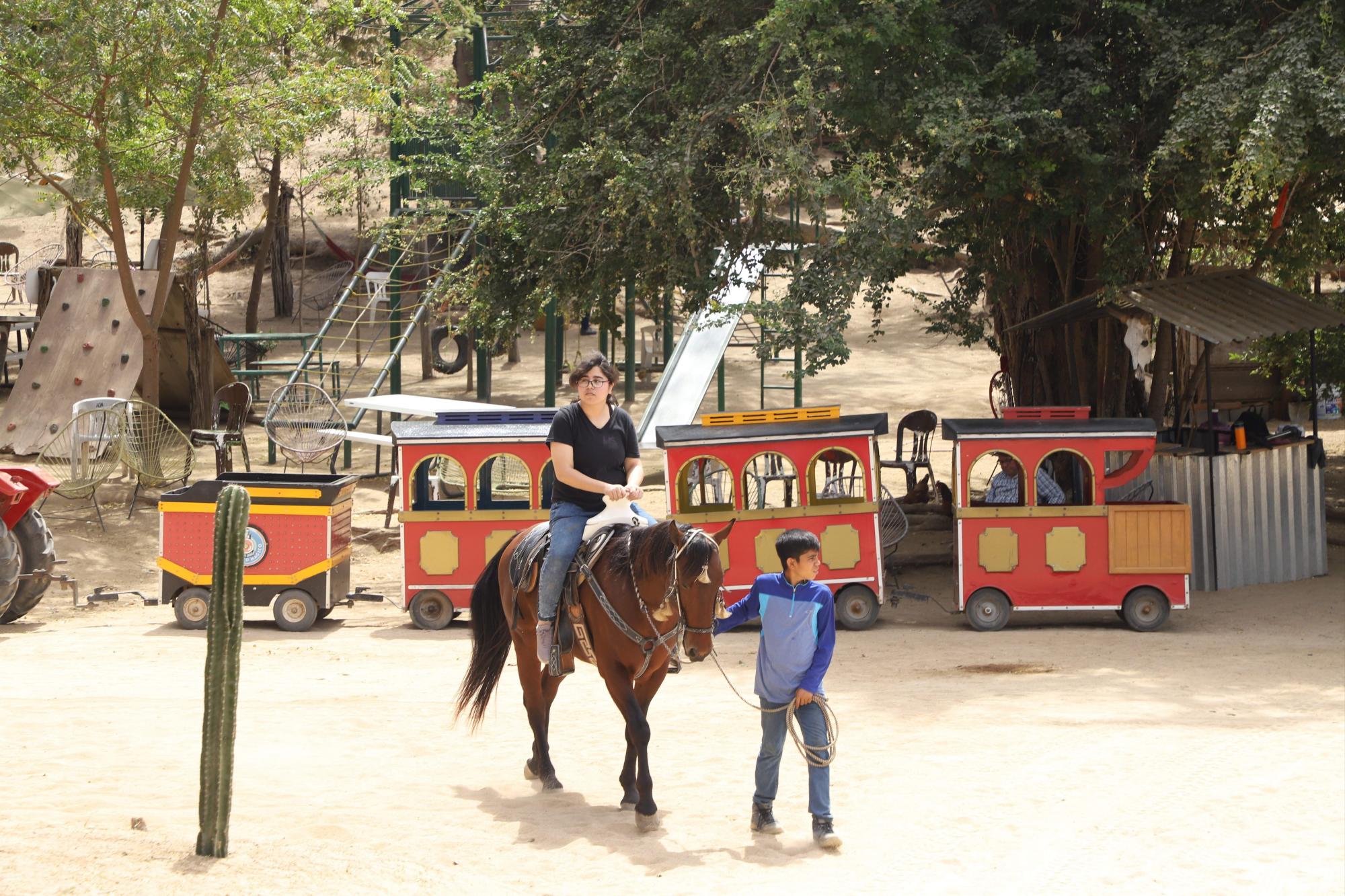 $!Lo que ‘La Vaca Lupe’ parió