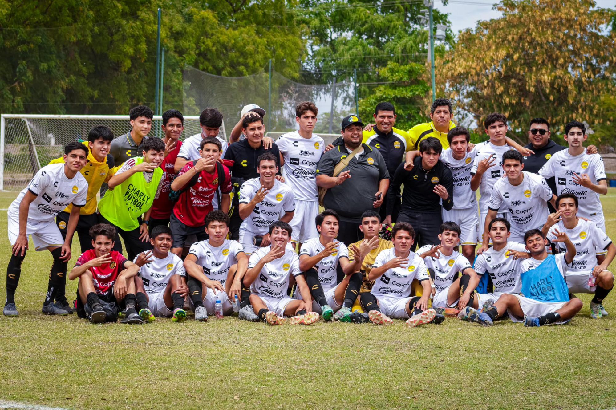 $!Contundente Dorados de Sinaloa en la TDP