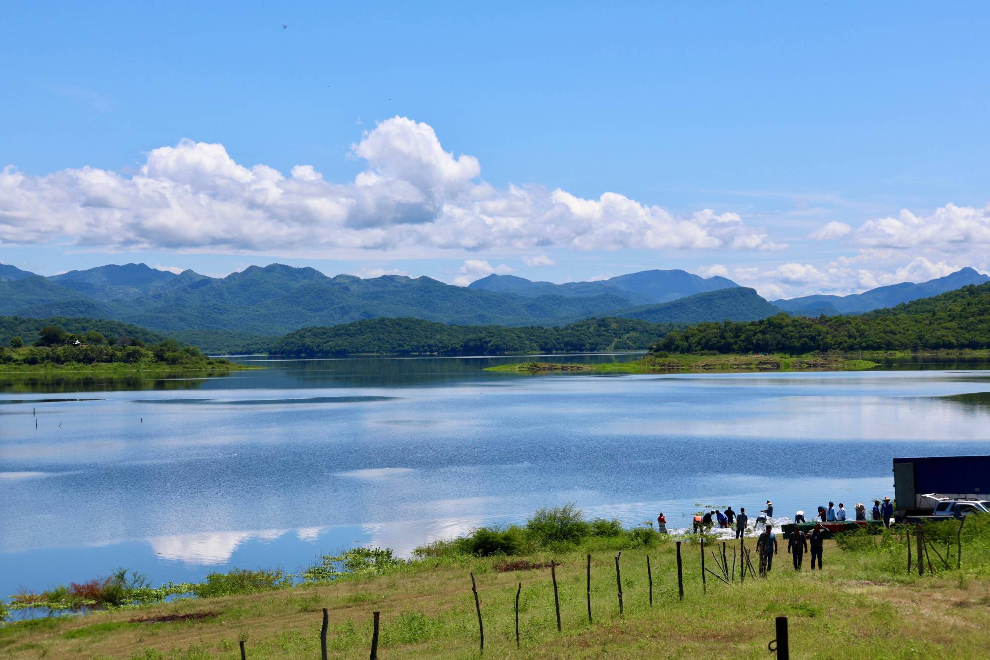 $!Siembran un millón de alevines en la presa El Salto, en Elota