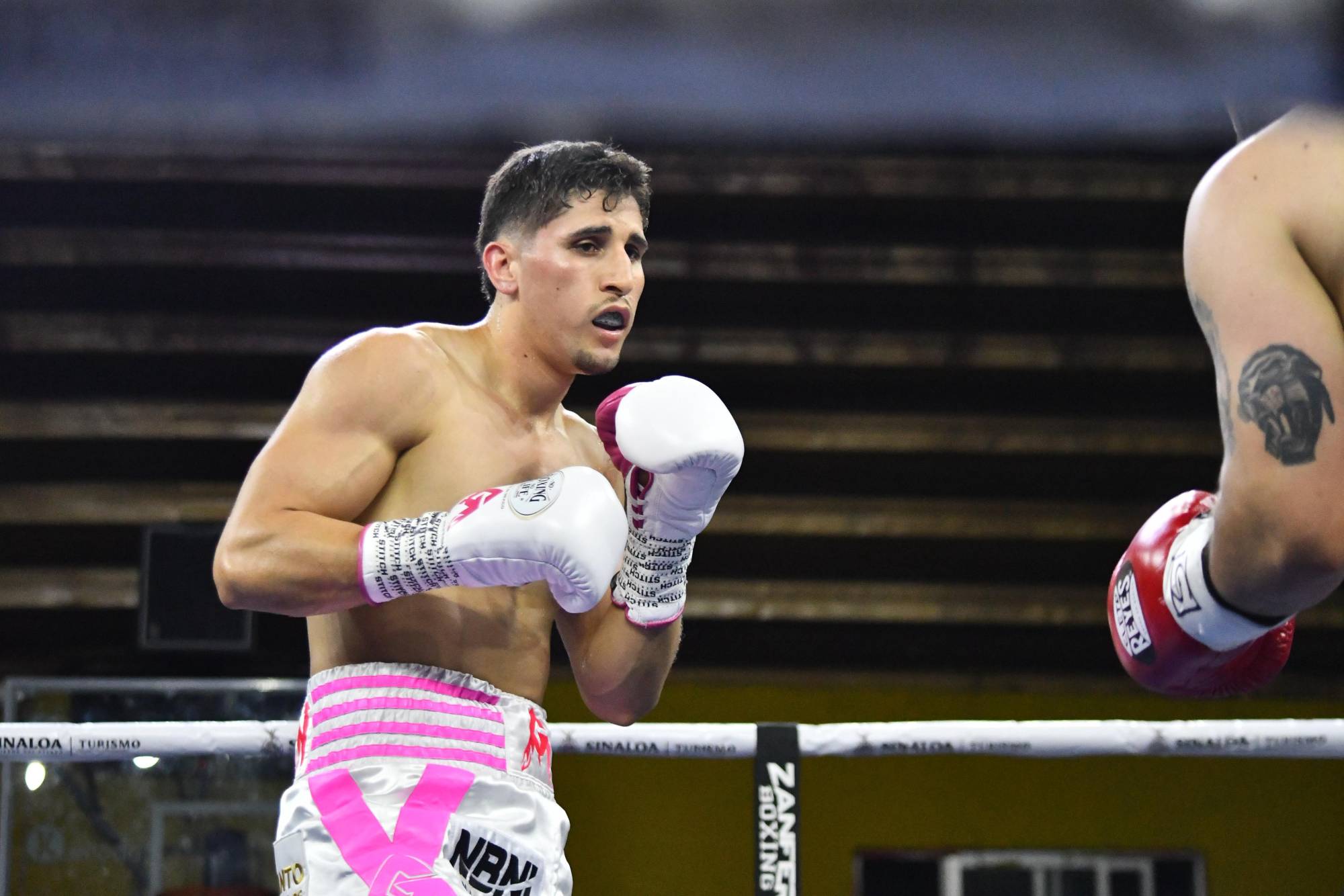 $!Marco Verde regresa al ring en la cartelera de ‘Canelo’ Álvarez