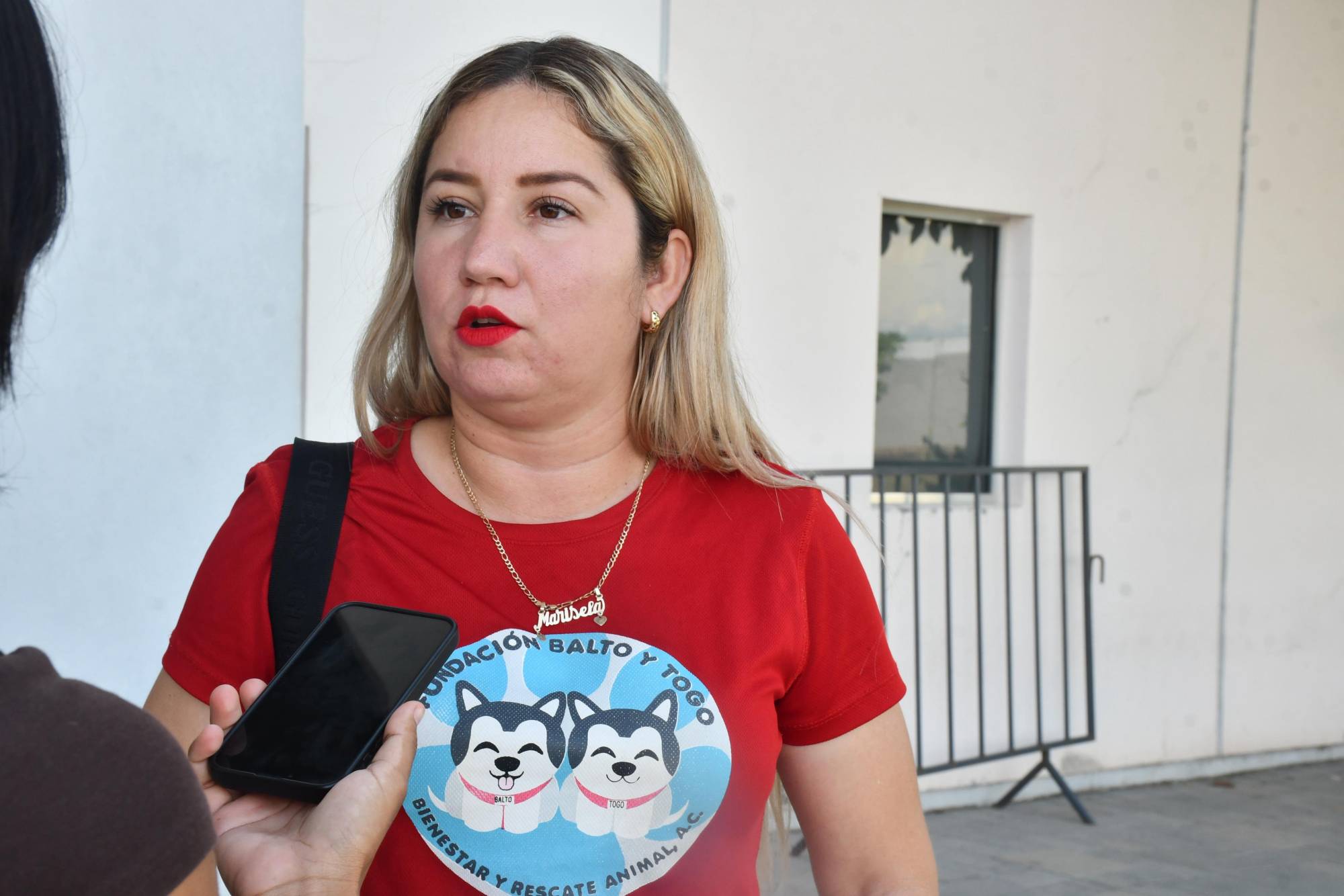 $!Aplazan audiencia inicial en caso de perrito Bobby