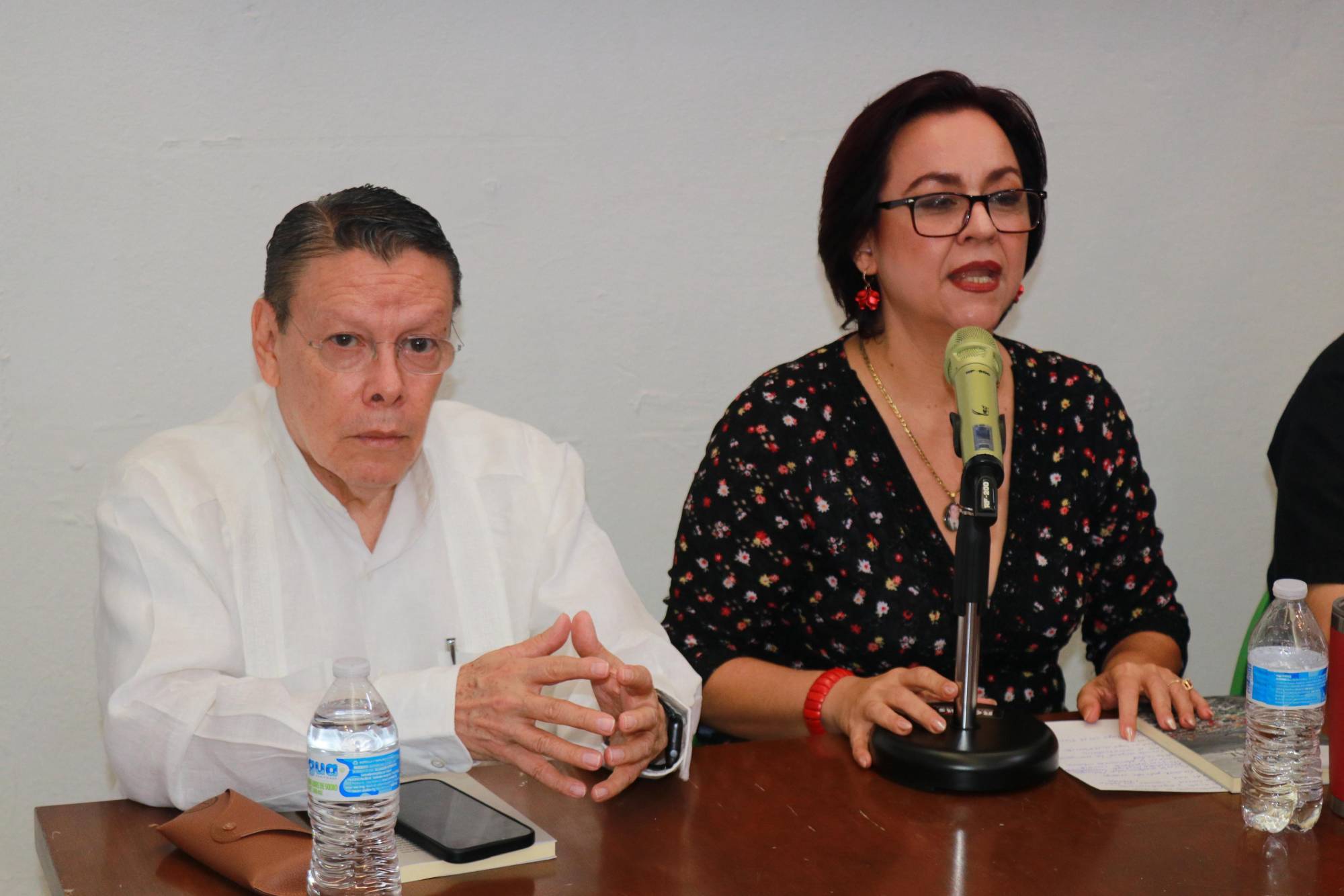 $!La doctora Sonia Pérez destaca en su ensayo que no han sido suficientes los planes institucionales para identificar, proteger y recuperar el patrimonio histórico y cultural de Culiacán.