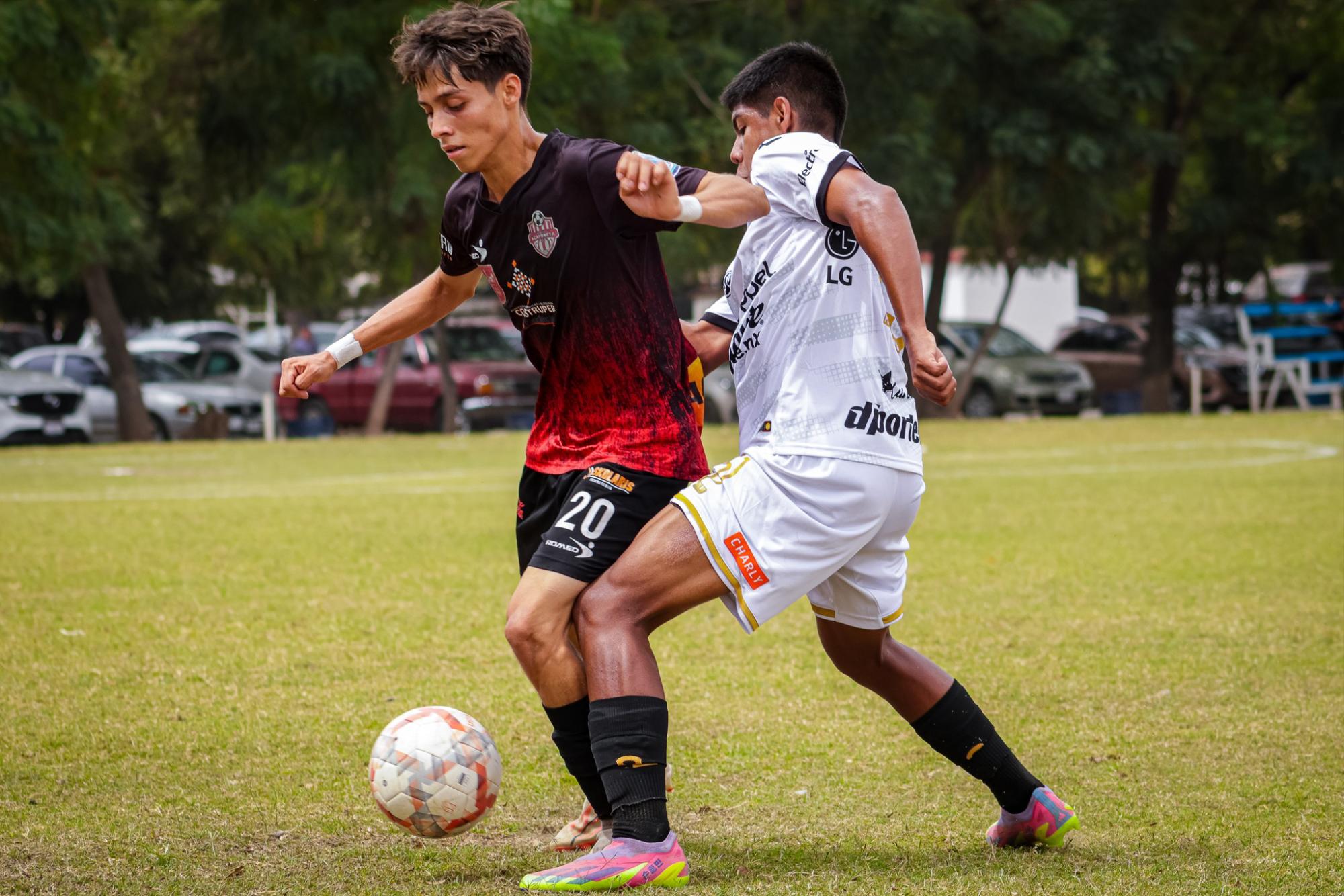 $!Contundente Dorados de Sinaloa en la TDP