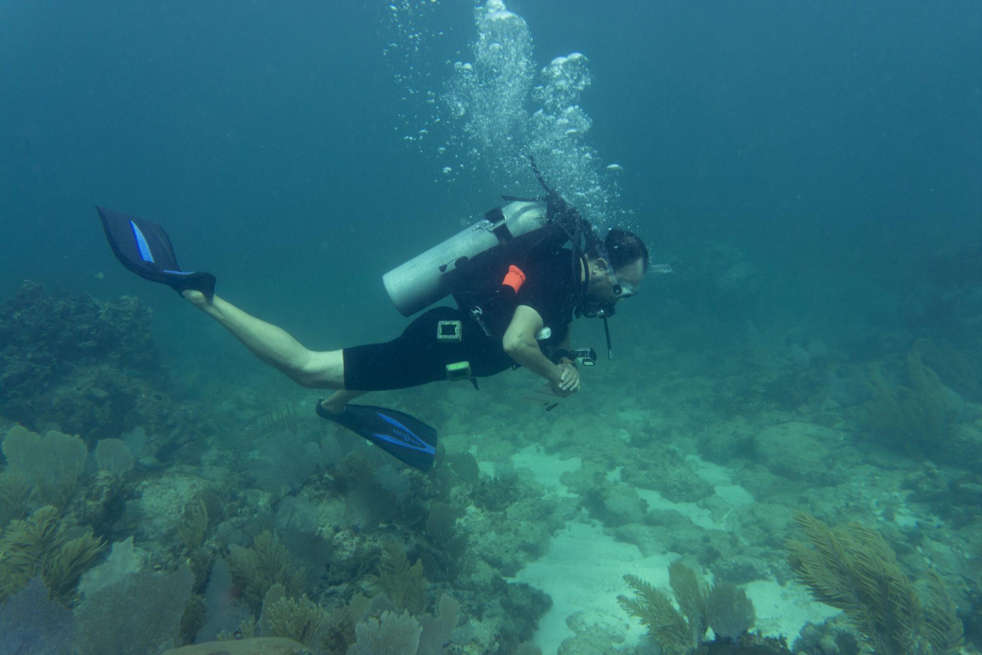$!Juan Jacobo Schmitter buceando en Mahahual, Quintana Roo, en 2023. Este es un hábitat invadido por el pez león (Pterois volitans).