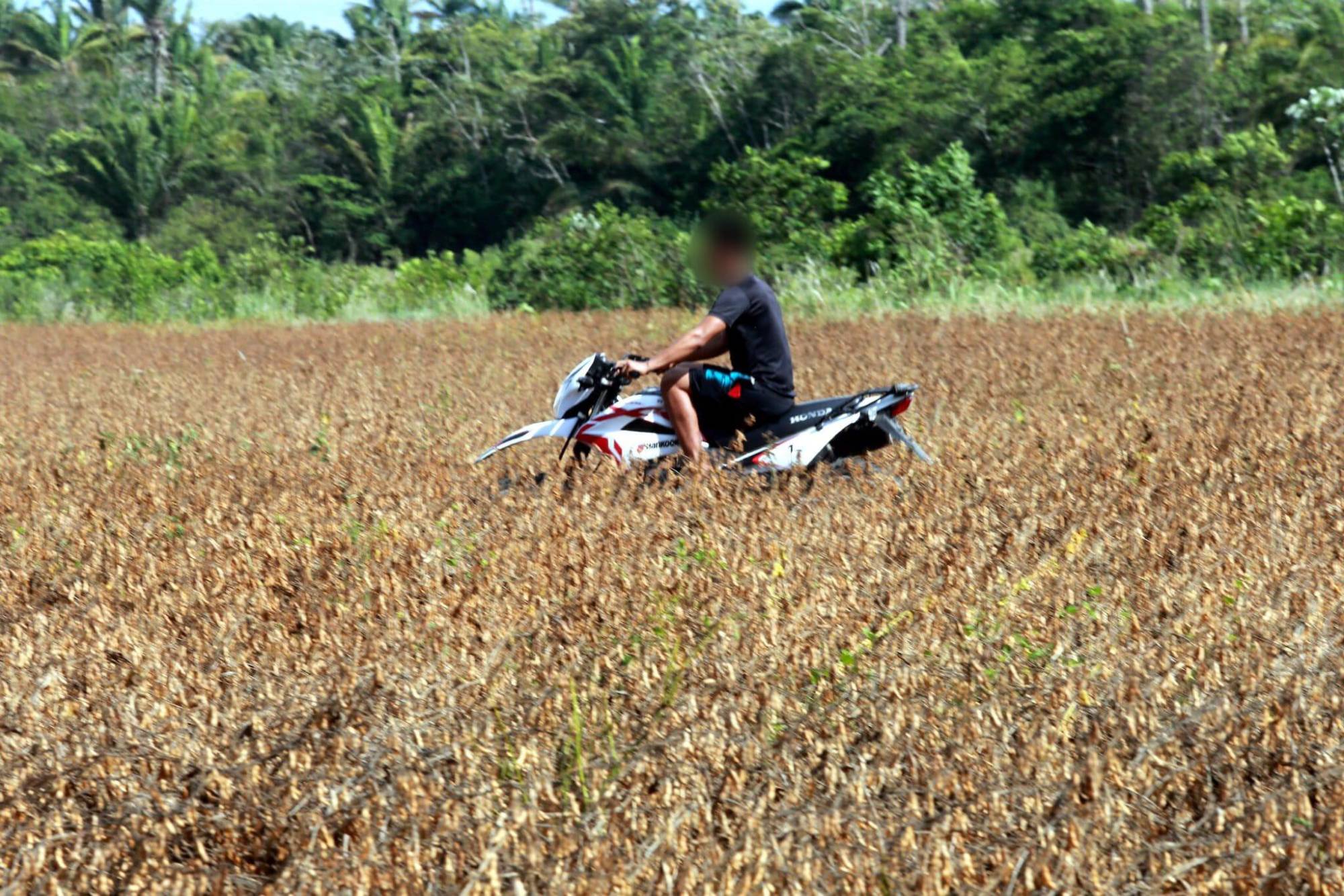 $!El gran retorno de las cigüeñas a un área protegida de Bolivia amenazada por invasores e incendios