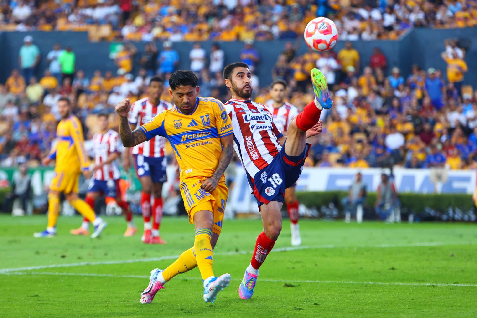 $!Tigres vence 3-1 al Atlético de San Luis y cierra el Apertura 2025 como líder provisional