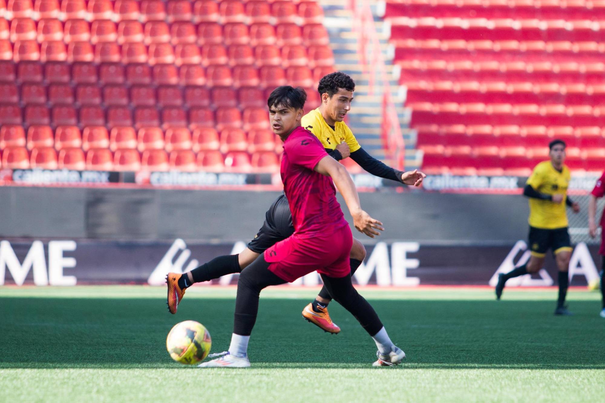 $!Continúa la incertidumbre en Dorados y en la Liga de Expansión MX