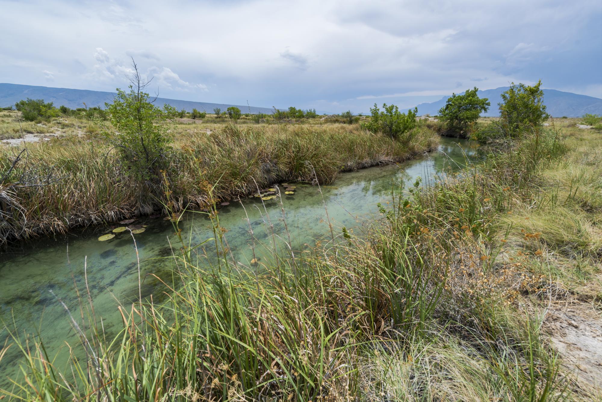 $!Cuatrociénegas , Coah. Mex. 25 de mayo del 2021 Conflicto de agua en cuatrociénegas