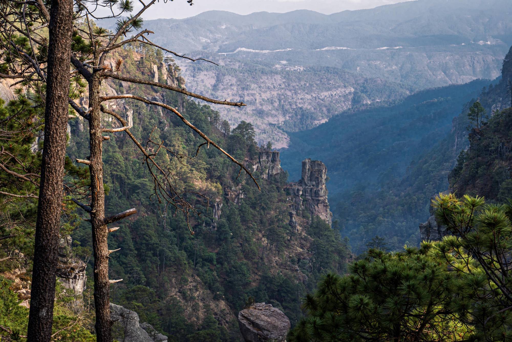 $!Vive un verano de película en Durango: “Donde los efectos especiales son reales”
